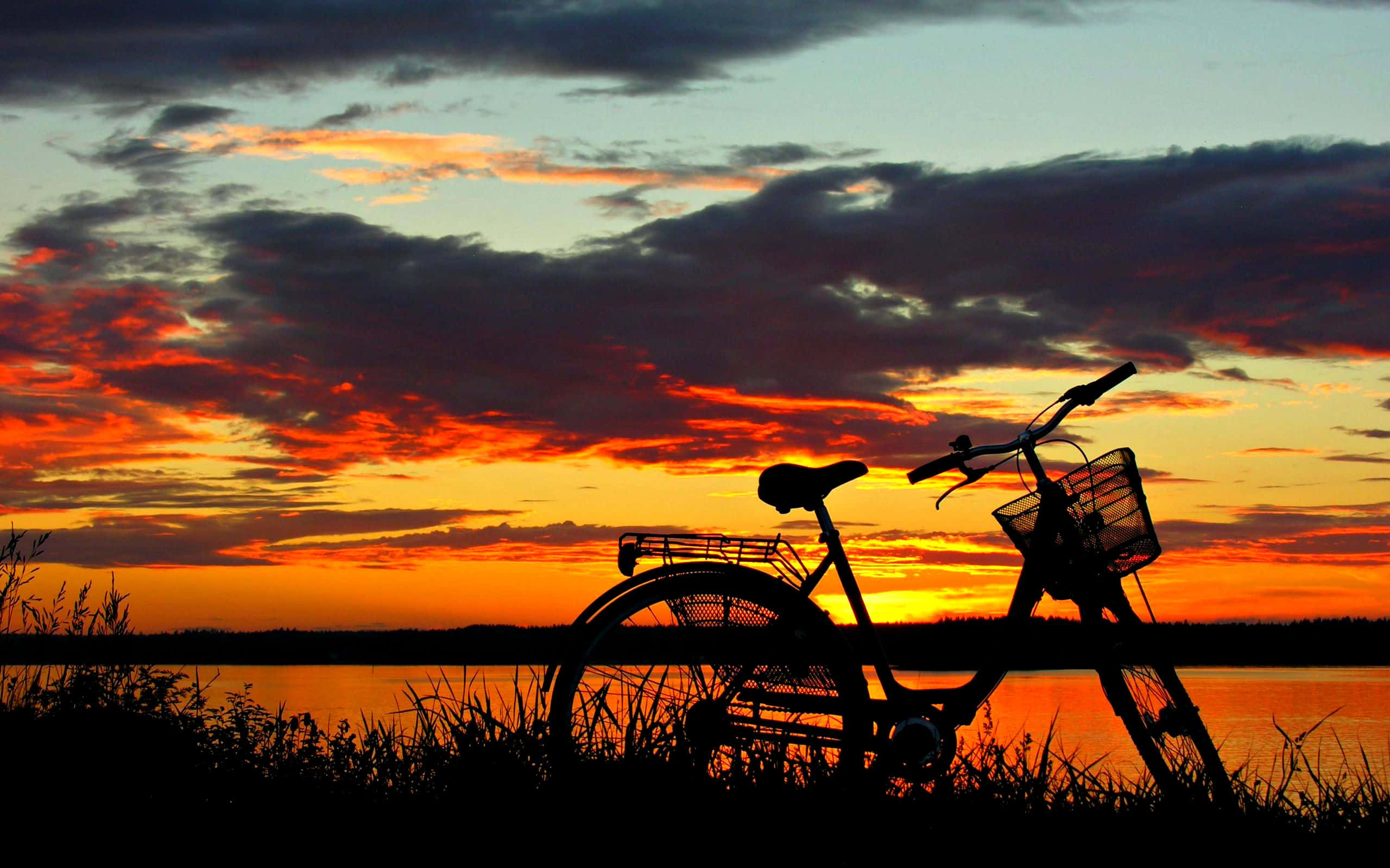 Sunset Hues, fiery sunset, serene lake, 2K Desktop Wallpaper