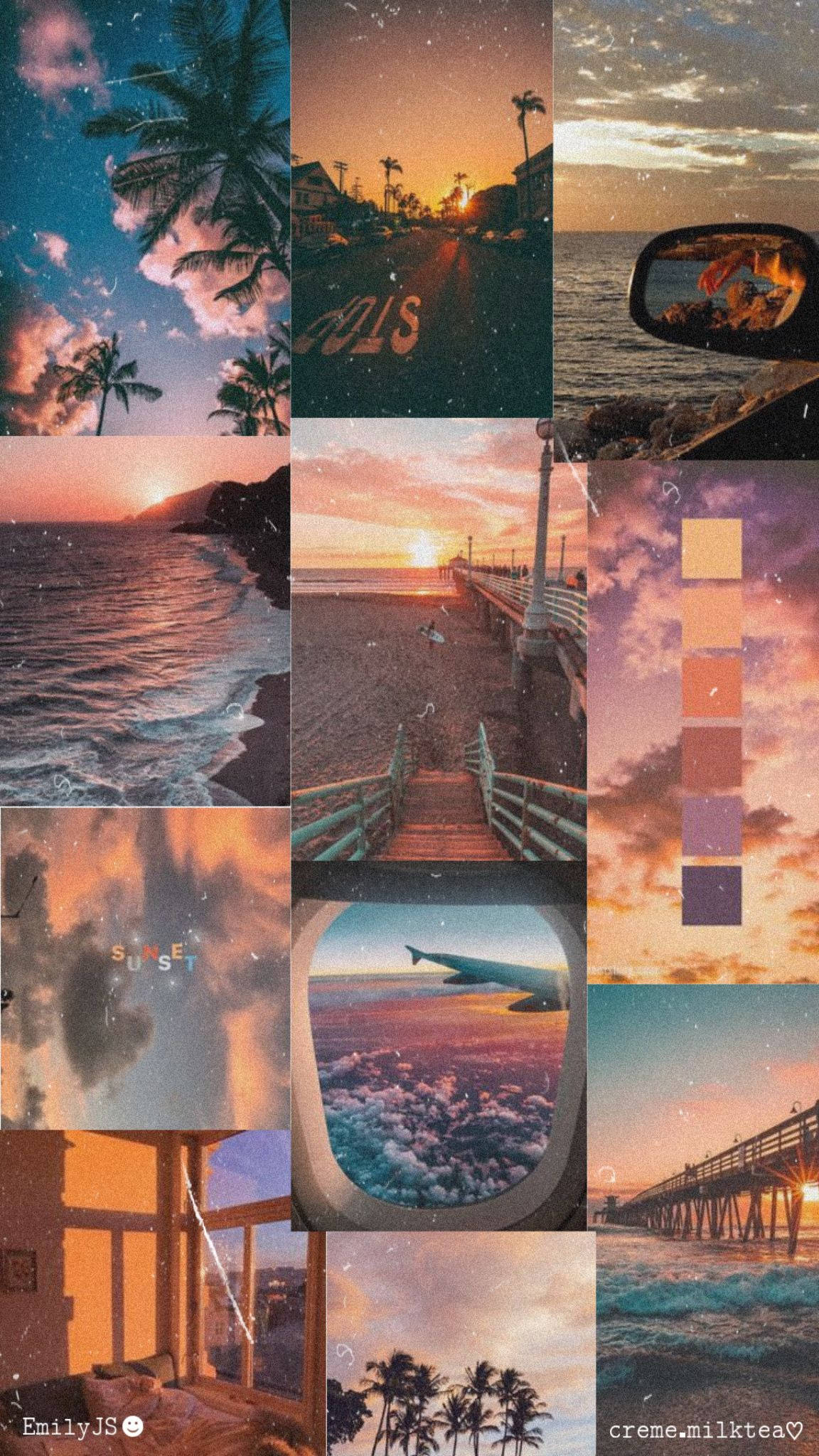 sunset, sunrise, palm trees, Full HD Phone Wallpaper