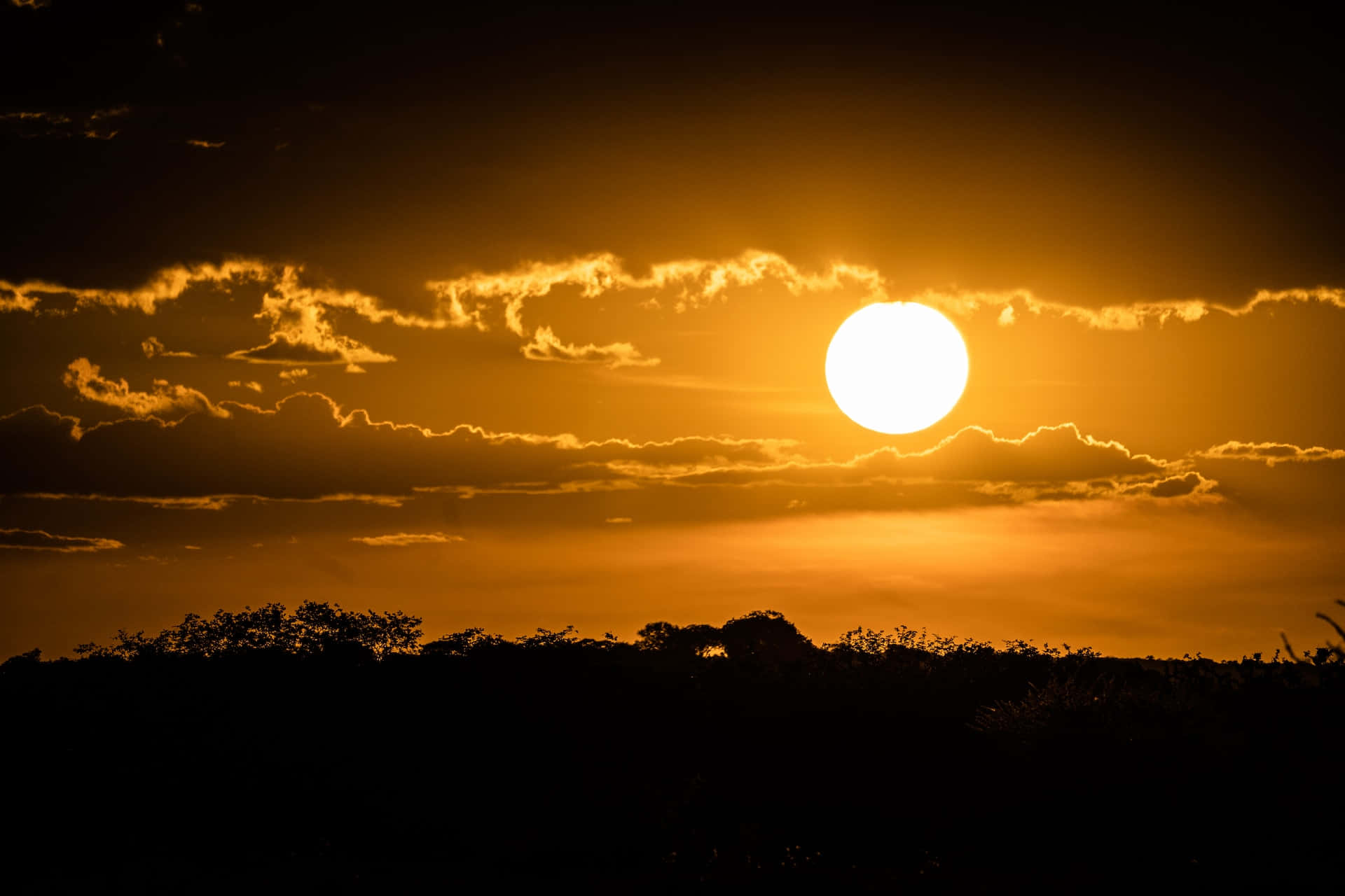 Sunset Hues, golden hour, amber sun, Full HD Desktop Wallpaper