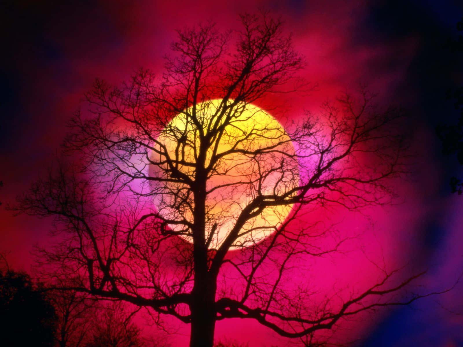 Sunset Hues, magenta, yellow, HD Desktop Wallpaper