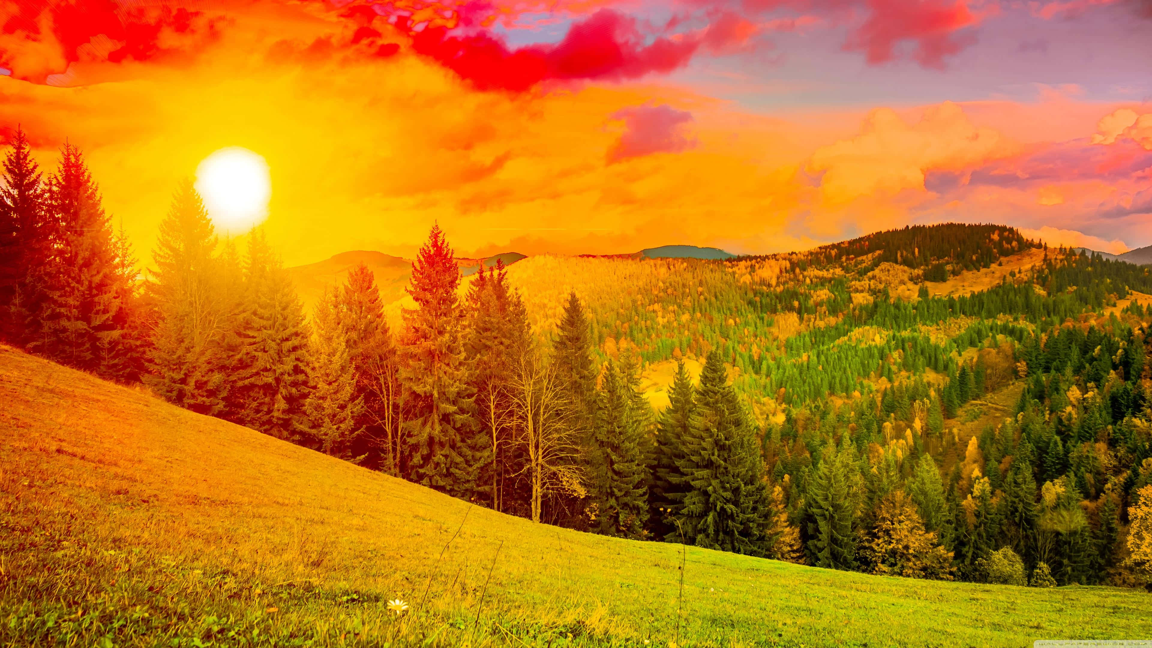 3840 x 2160, nature, sunset, 4K Desktop Wallpaper