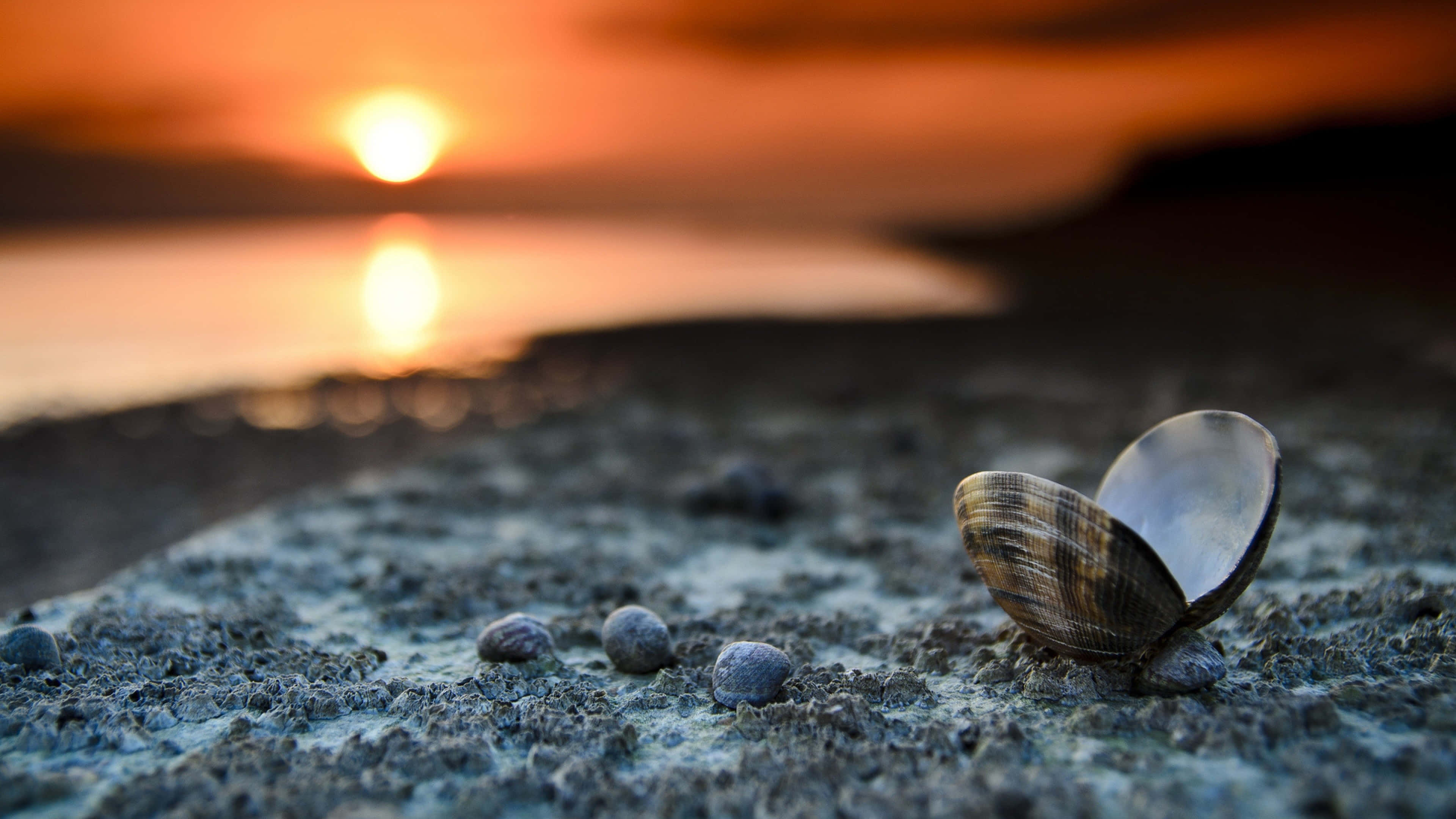sunset landscape, fiery orange, wet sand, 4K Desktop Wallpaper