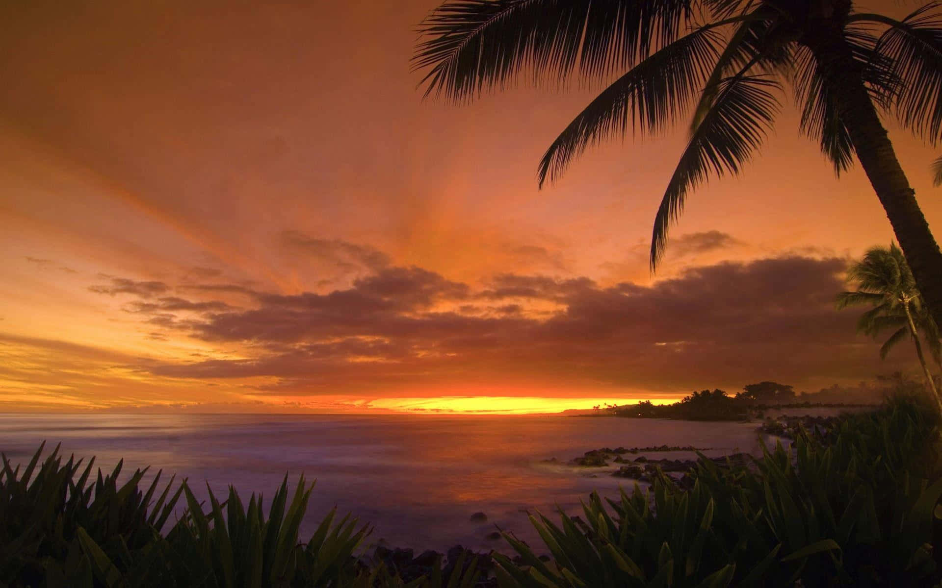 sunset, fiery orange and red hues, tranquil ocean, Full HD Desktop Wallpaper