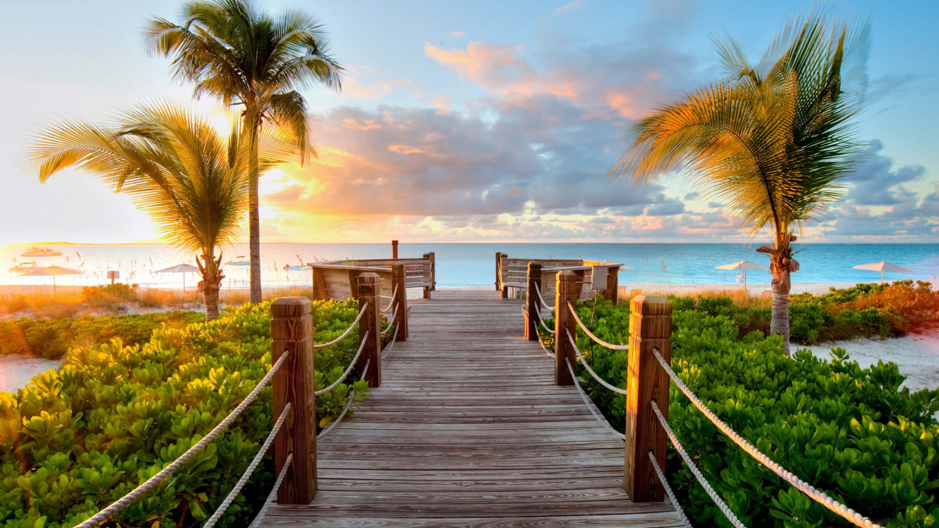 palm trees, beach boardwalk, sunset, Full HD Desktop Wallpaper