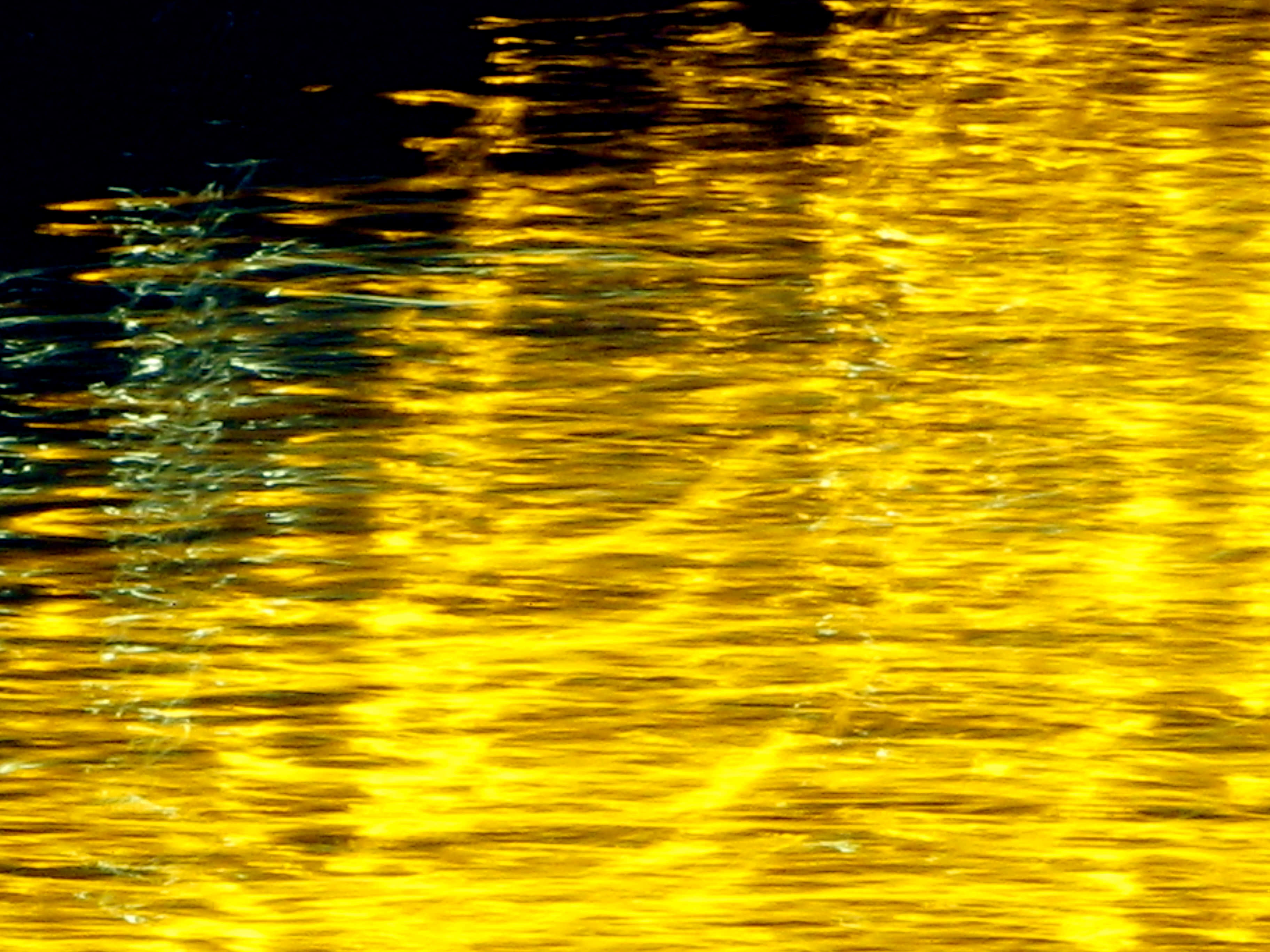 Phenomenal Gold Water Surface, golden sunlight, rippling water, 2K Desktop Wallpaper