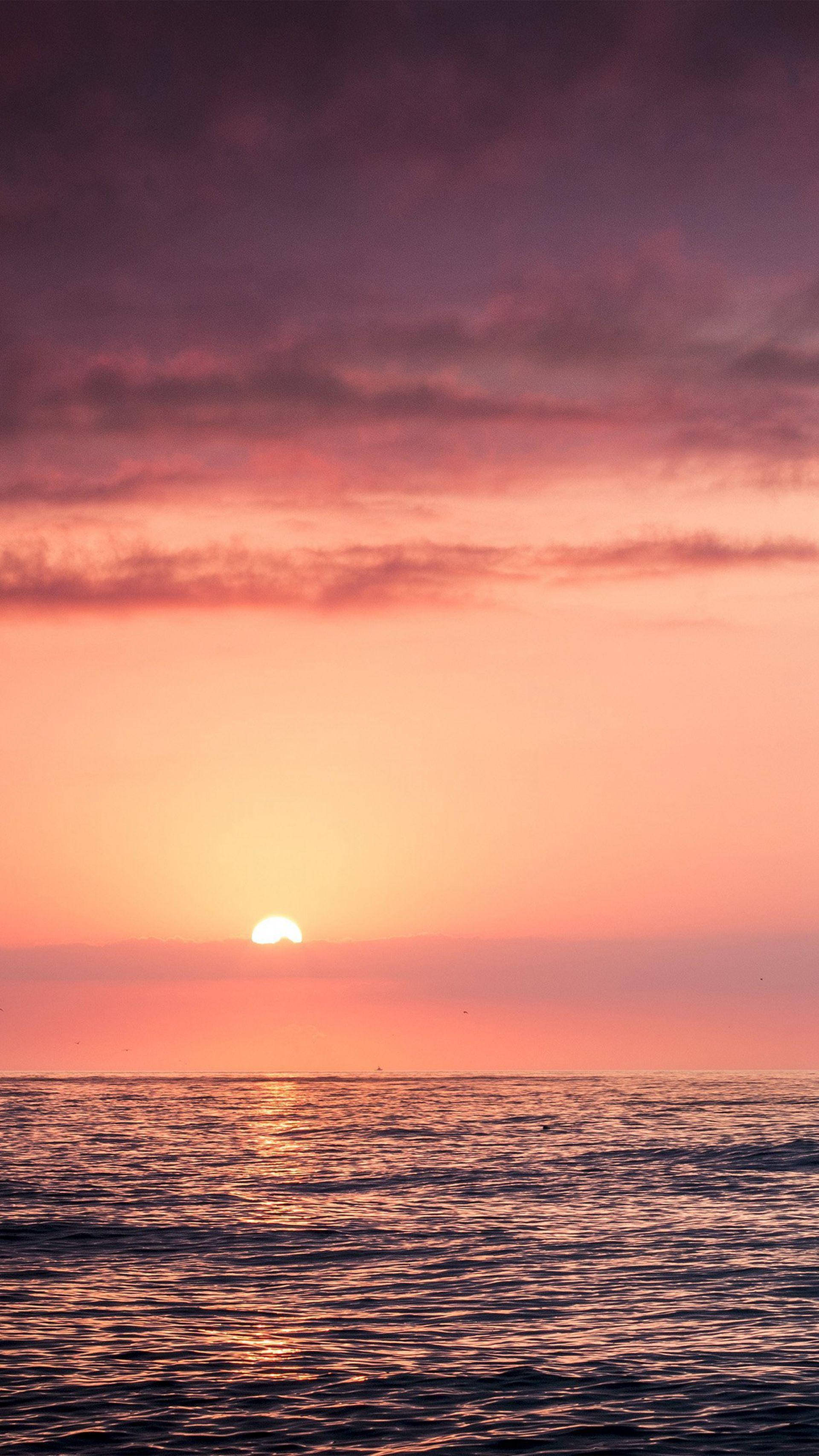 Cloudy Pink Sunset Ocean, sunset, ocean, 2K Phone Wallpaper