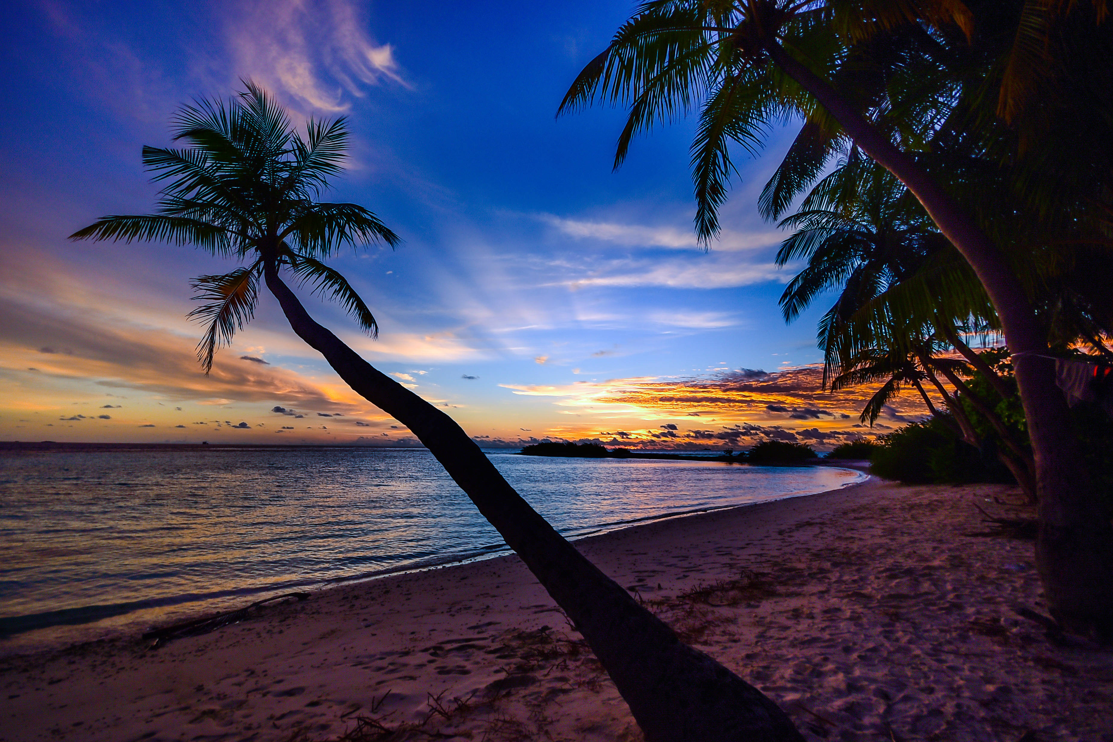 coconut tree, sandy beach, sunset, 2K Desktop Wallpaper