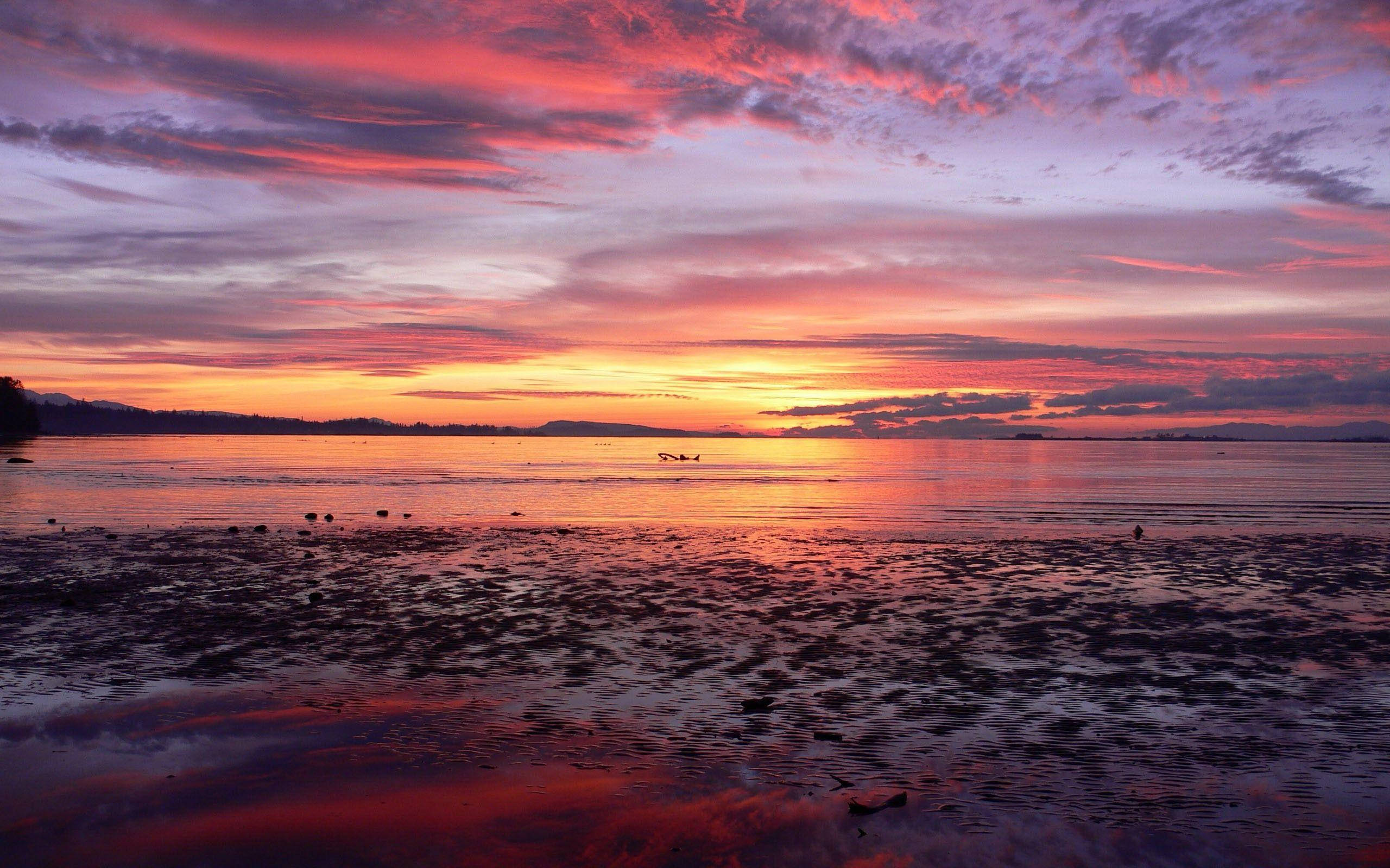 Ocean Sunset, peaceful beach, fiery oranges, 2K Desktop Wallpaper