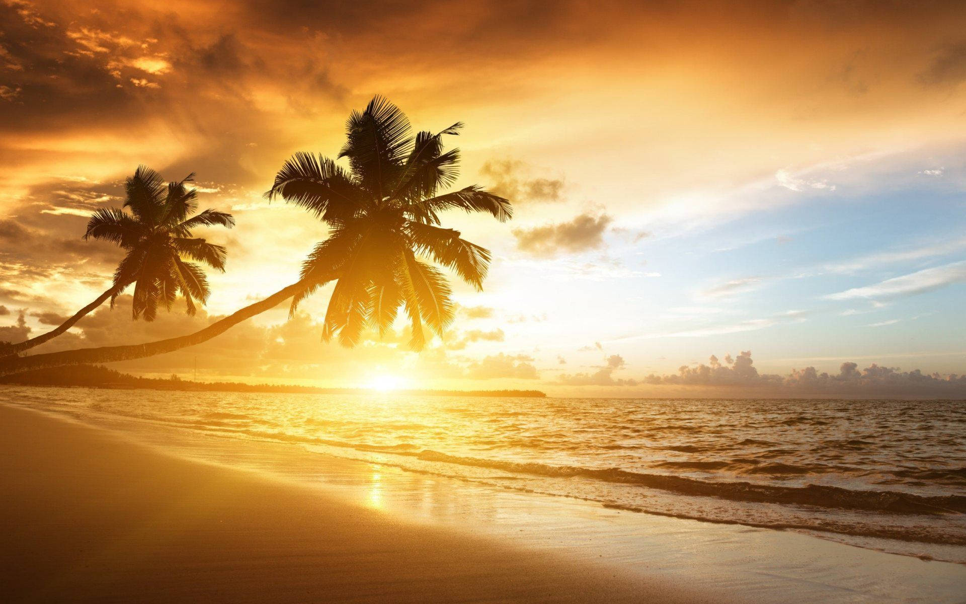 serene sunset, tropical beach, golden sunset, Full HD Desktop Wallpaper