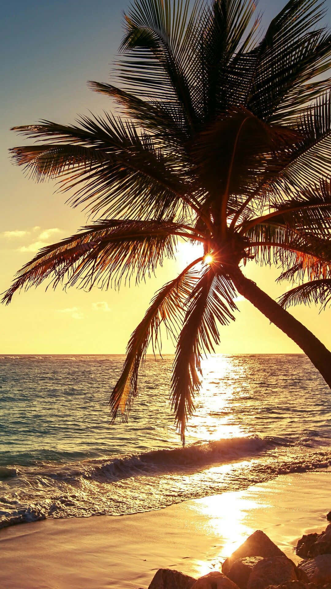 tropical beach, palm trees, golden sunset, Full HD Phone Wallpaper