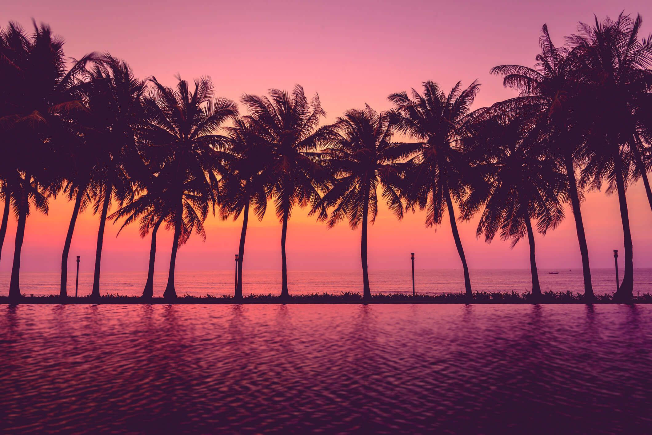 palm trees, fiery pink and orange sunset, ocean, Full HD Desktop Wallpaper