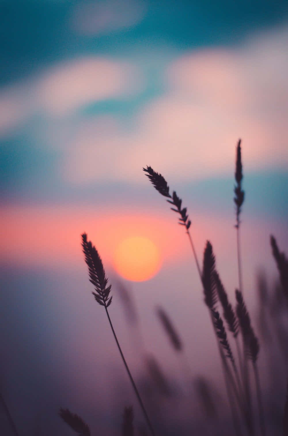 sunset photography, ocean sunset, orange pink and blue, HD Phone Wallpaper