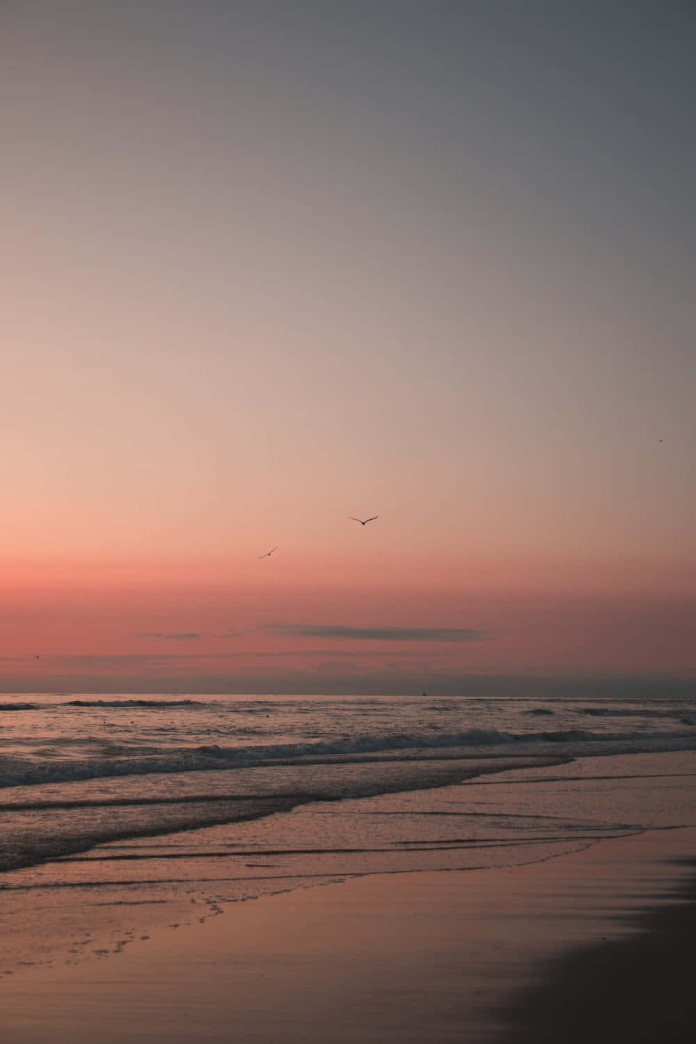 beach, sunset, pink, HD Phone Wallpaper