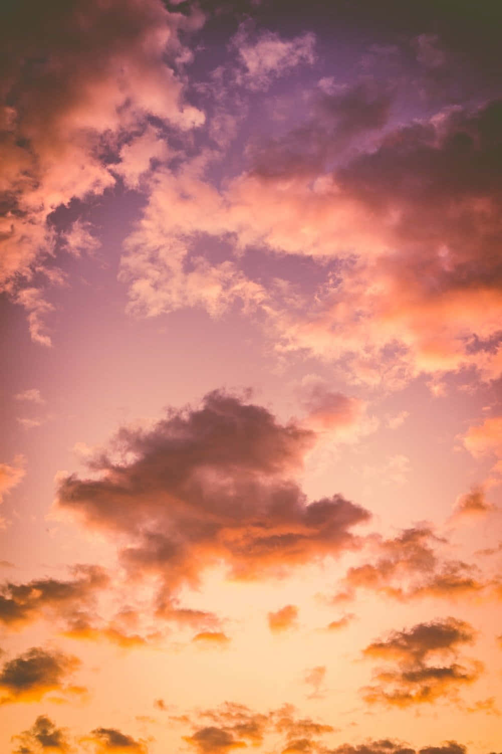 sunset, golden hour, fiery orange, HD Phone Wallpaper