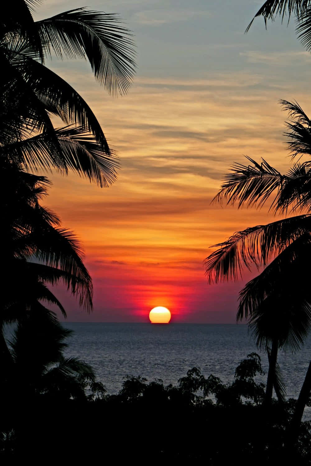 sunset, ocean, orange, HD Phone Wallpaper