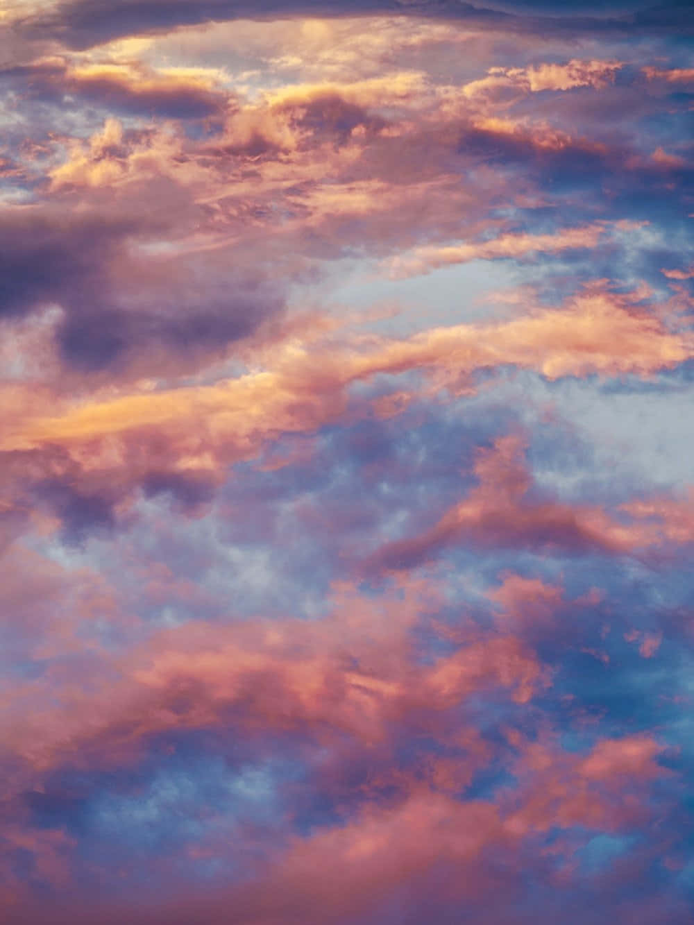 Sunset, Orange, Pink, HD Phone Wallpaper