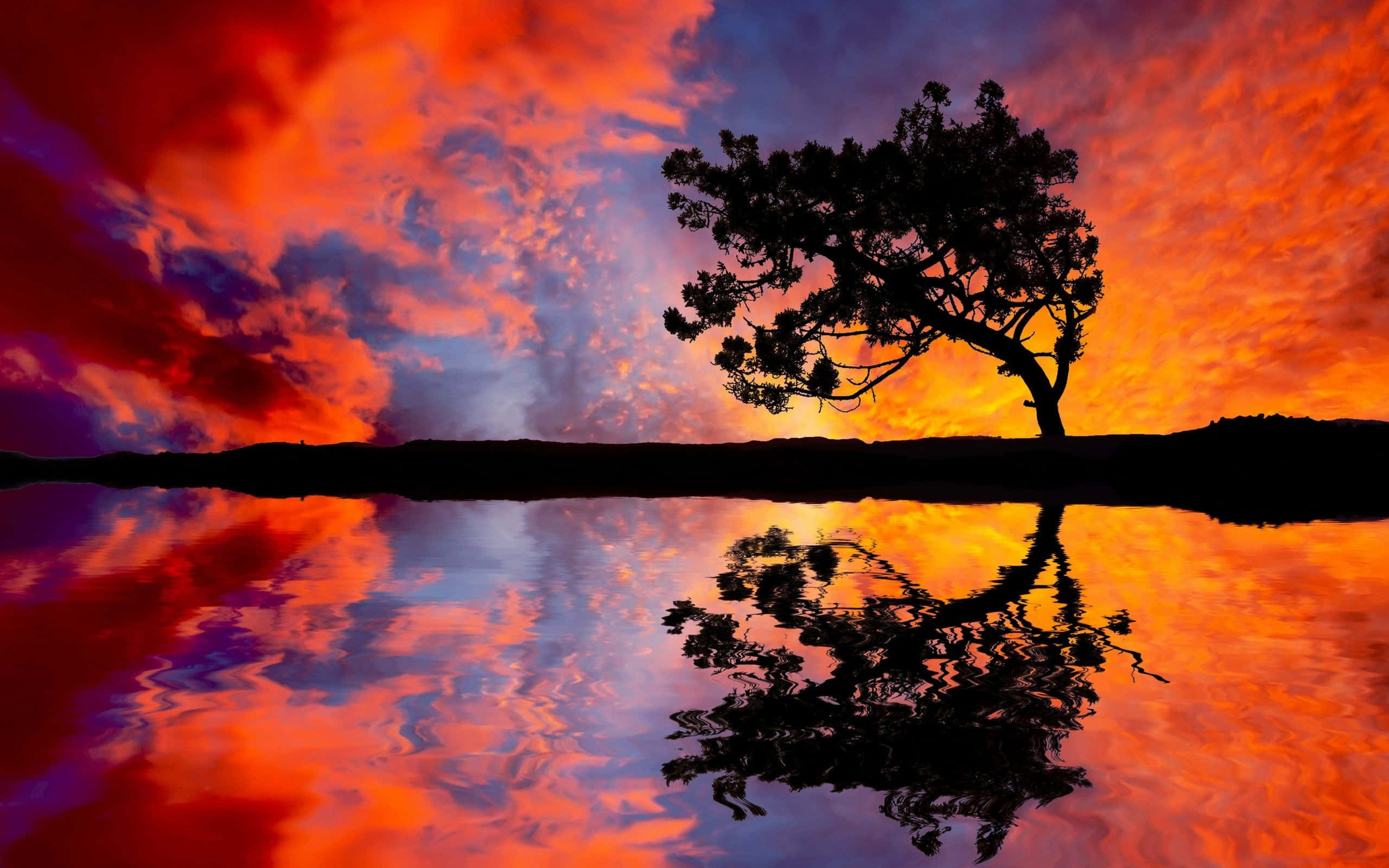sunset reflection, fiery sunset sky, calm water, 2K Desktop Wallpaper