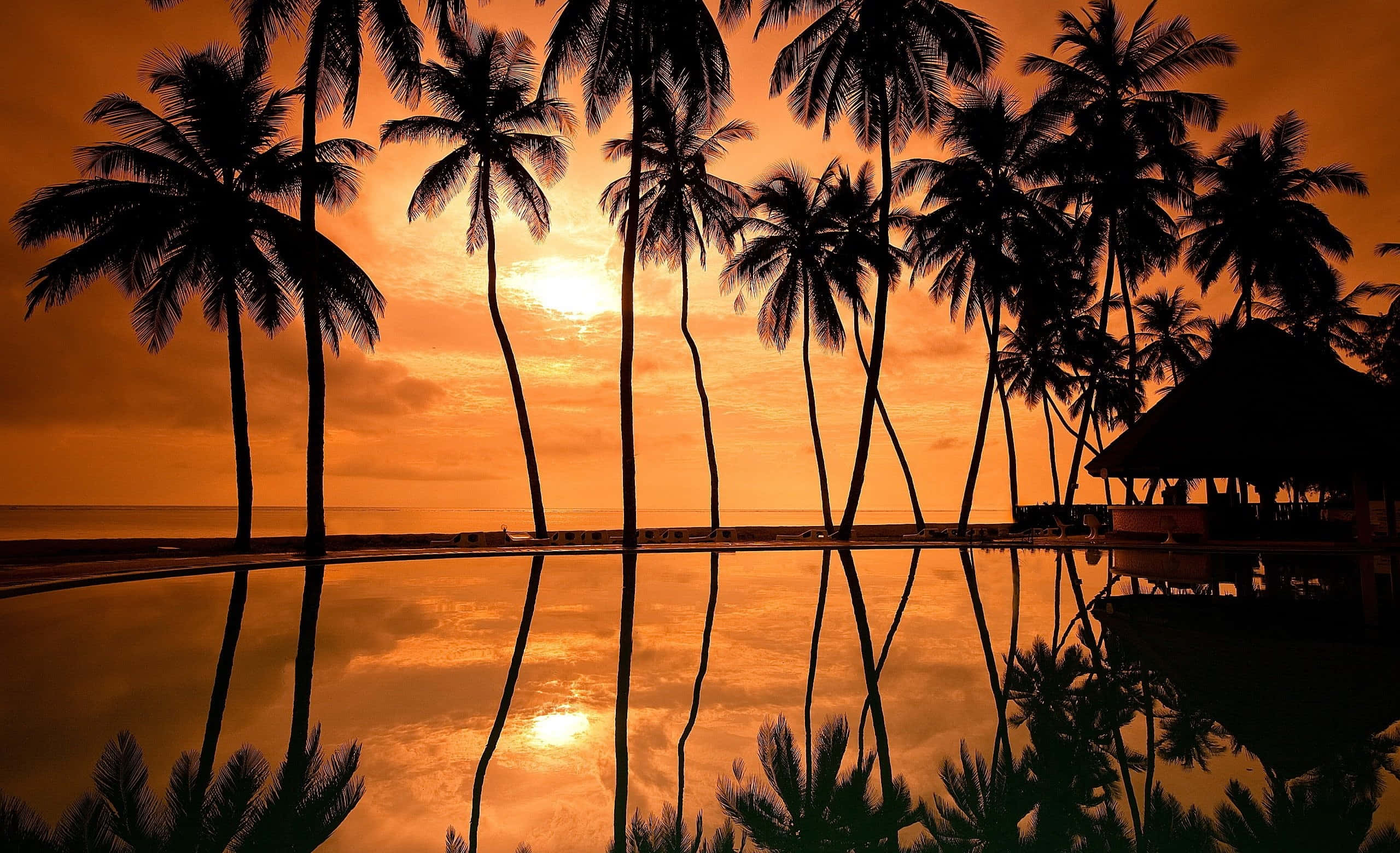 Sunset Reflection, palm trees, tranquil pool, 2K Desktop Wallpaper