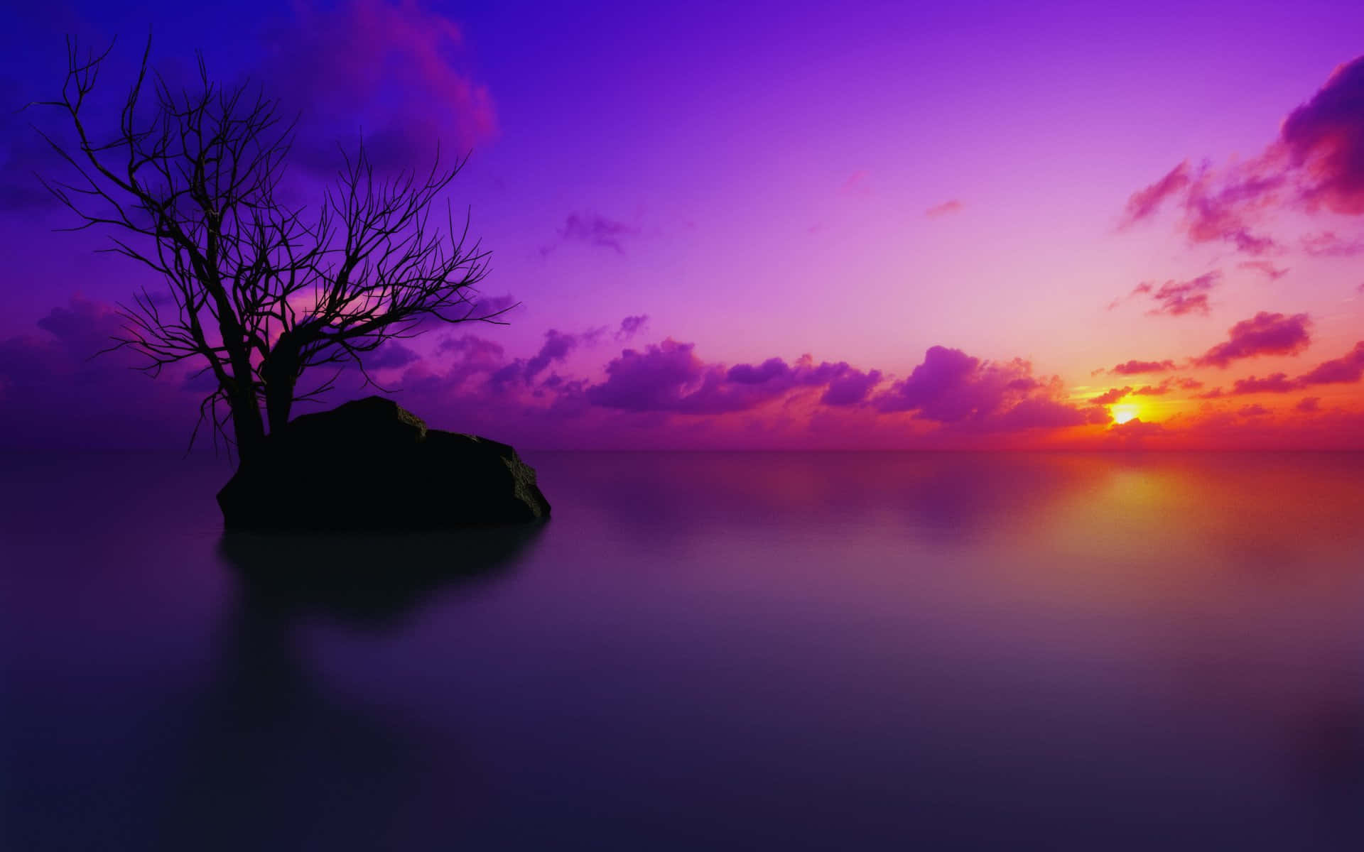 Sunset Reflection, 1920 x 1200, tranquil waters, Full HD Desktop Wallpaper