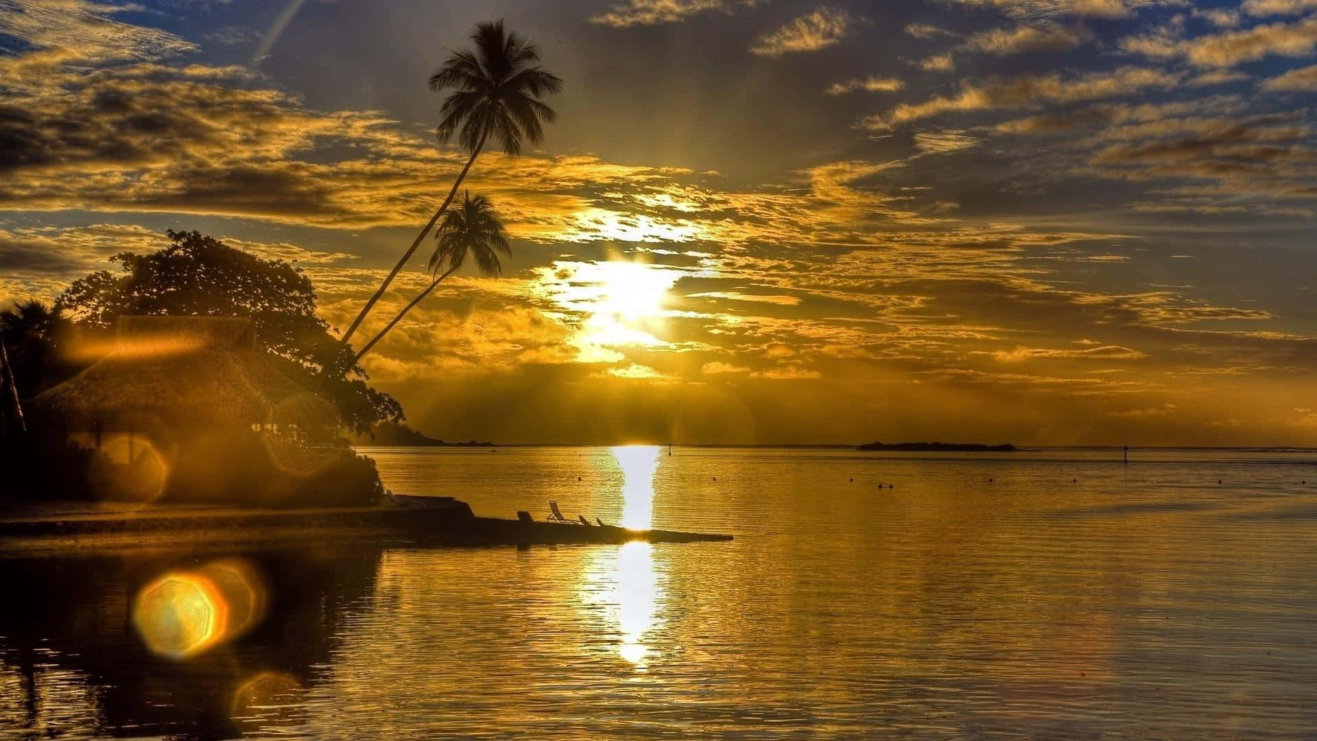 Golden Sunset, calm tropical waters, silhouetted palm trees, Full HD Desktop Wallpaper