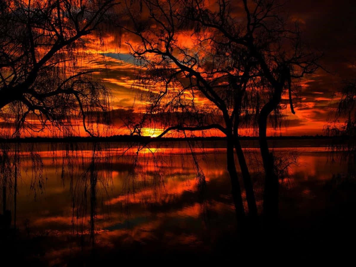 Sunset Reflection, calm water, fiery orange sunset, SD Desktop Wallpaper