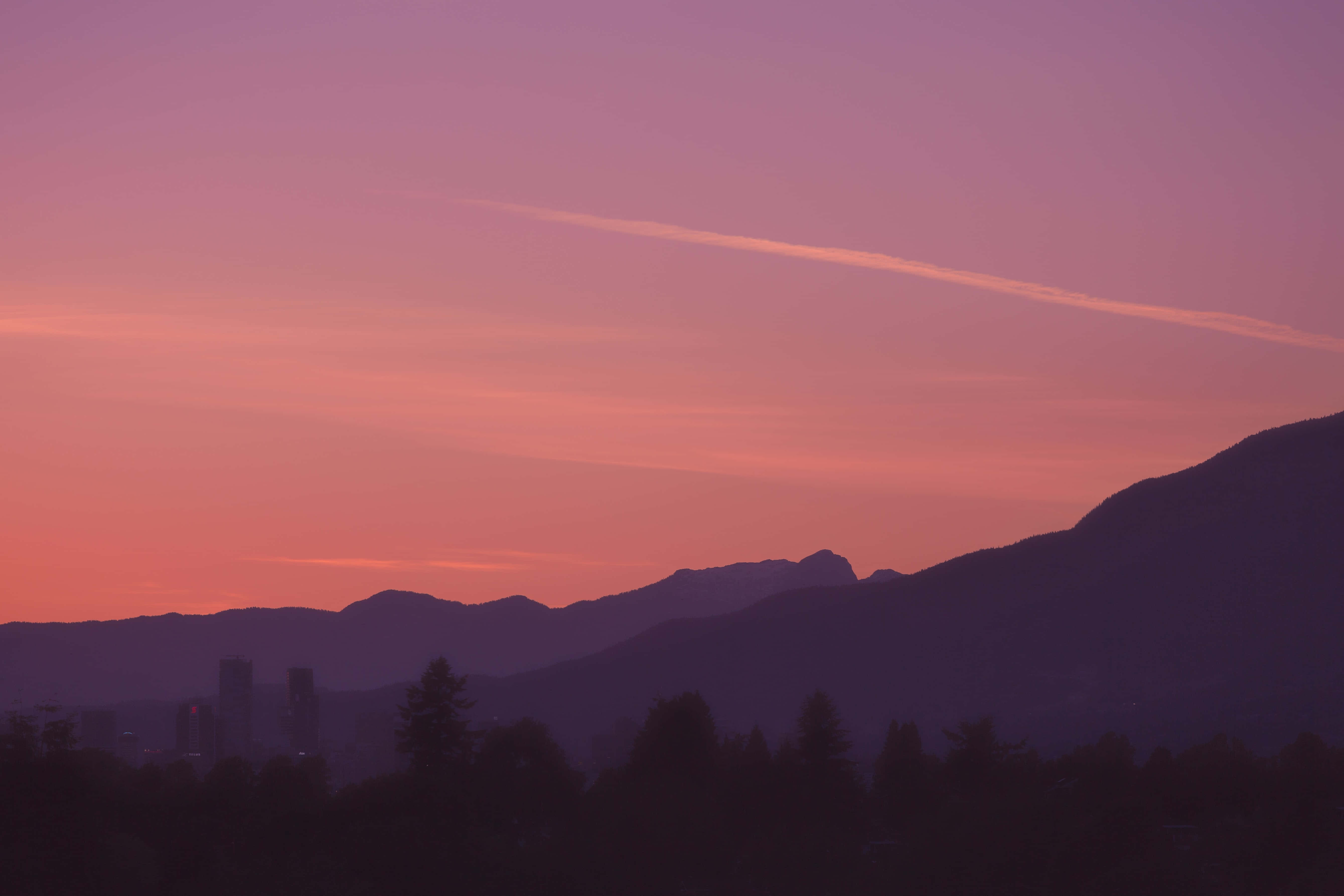 Purple Sunset Silhouette, twilight sky, soft pink and orange hues, 5K Desktop Wallpaper