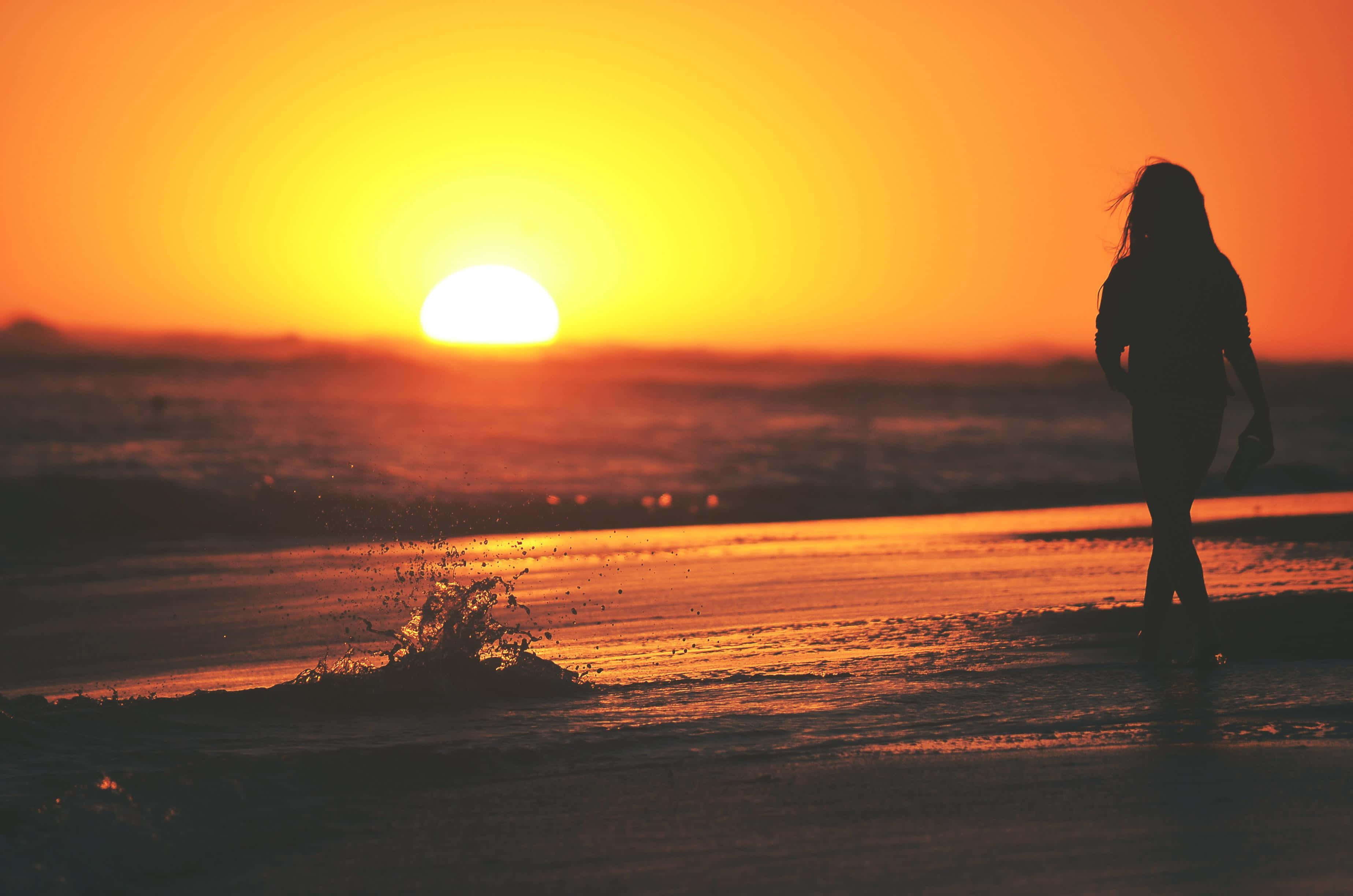 Sunset Silhouette, beach, sun, 2K Desktop Wallpaper