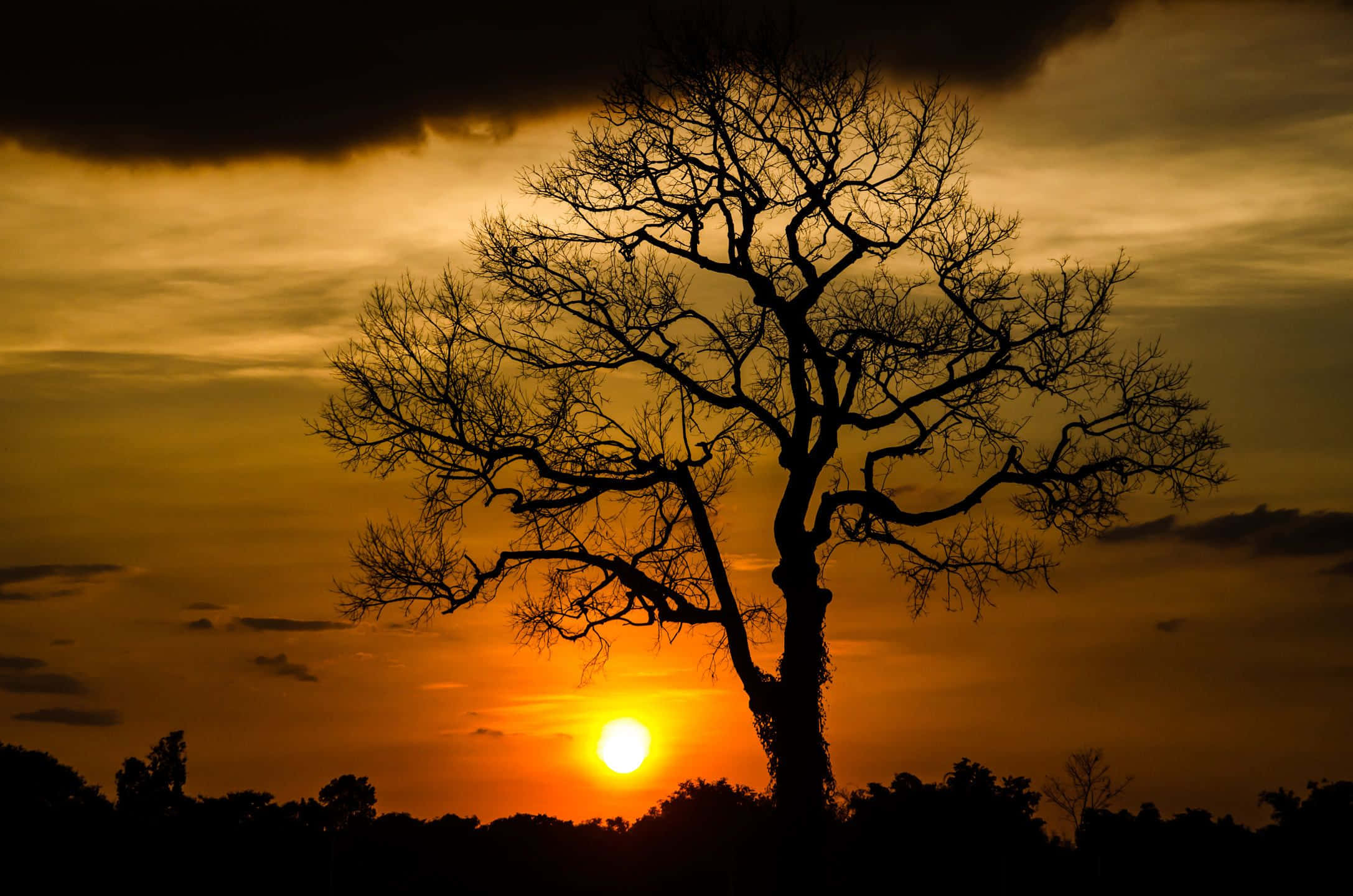 sunset silhouette, fiery orange sunset sky, dark clouds, Full HD Desktop Wallpaper