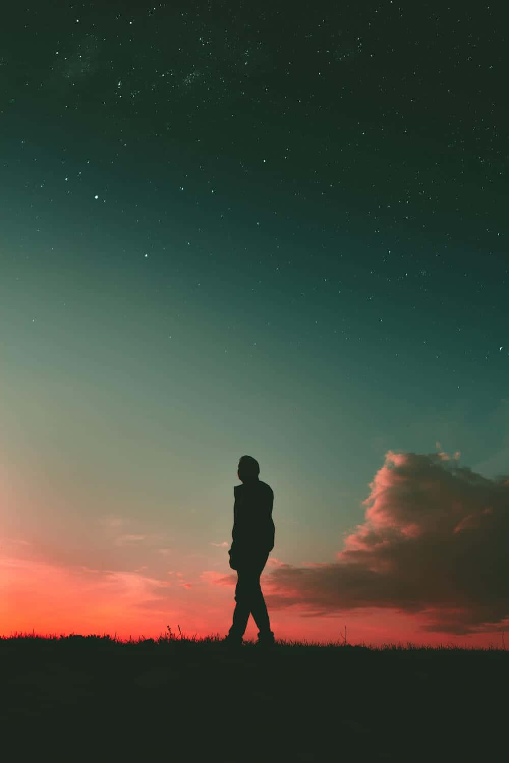 sunset silhouette, teal, fiery orange, HD Phone Wallpaper
