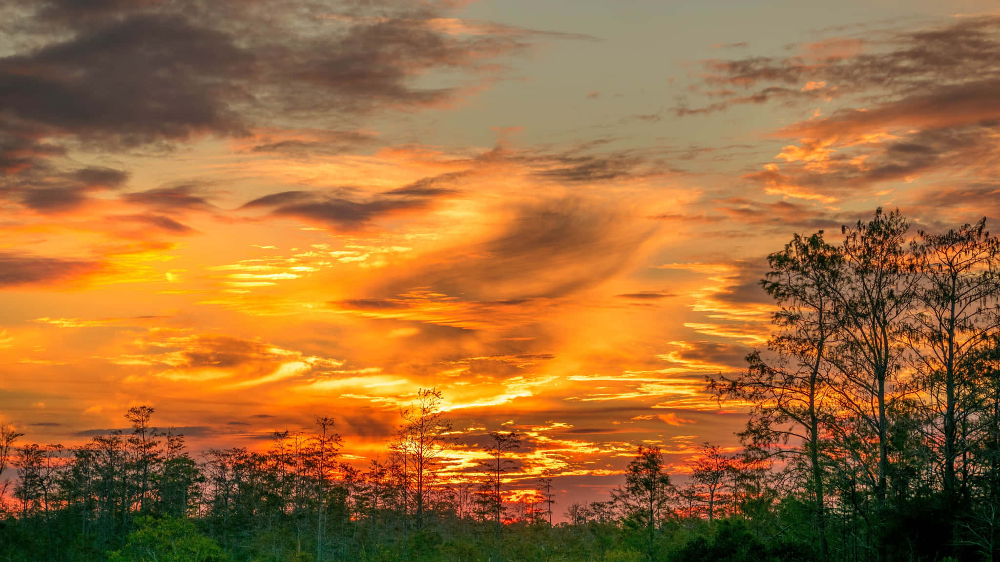 Orange Sunset Sky, fiery sunset, vivid orange and red hues, Full HD Desktop Wallpaper
