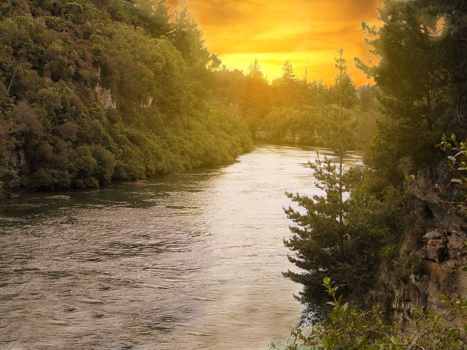Lake And Forest Sunset Desktop, golden sunset light, river, HD Desktop Wallpaper