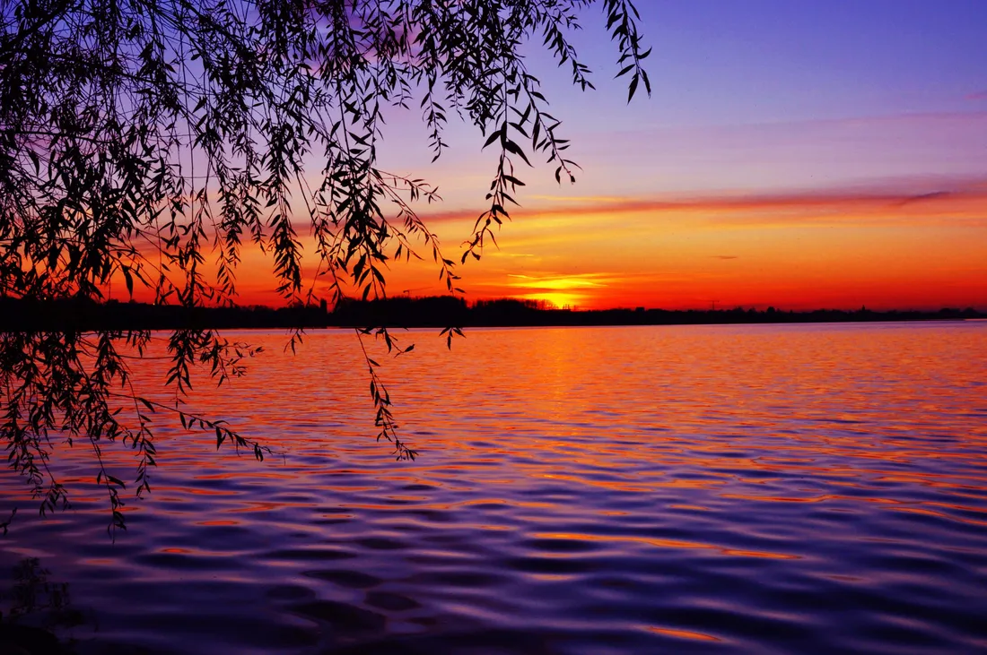 Sunset View
