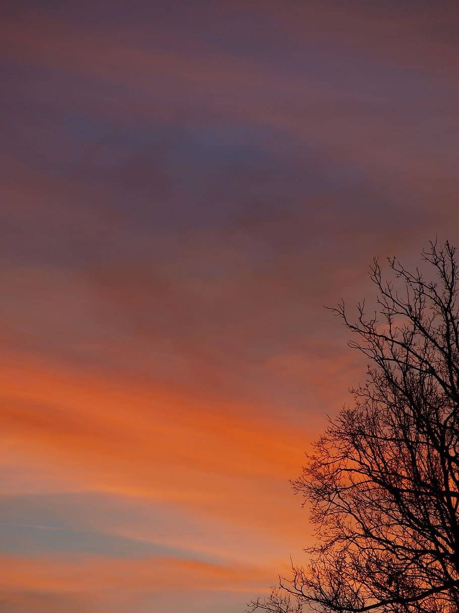 dusky sunset aesthetic, vibrant sunset sky, orange pink and purple clouds, SD Phone Wallpaper