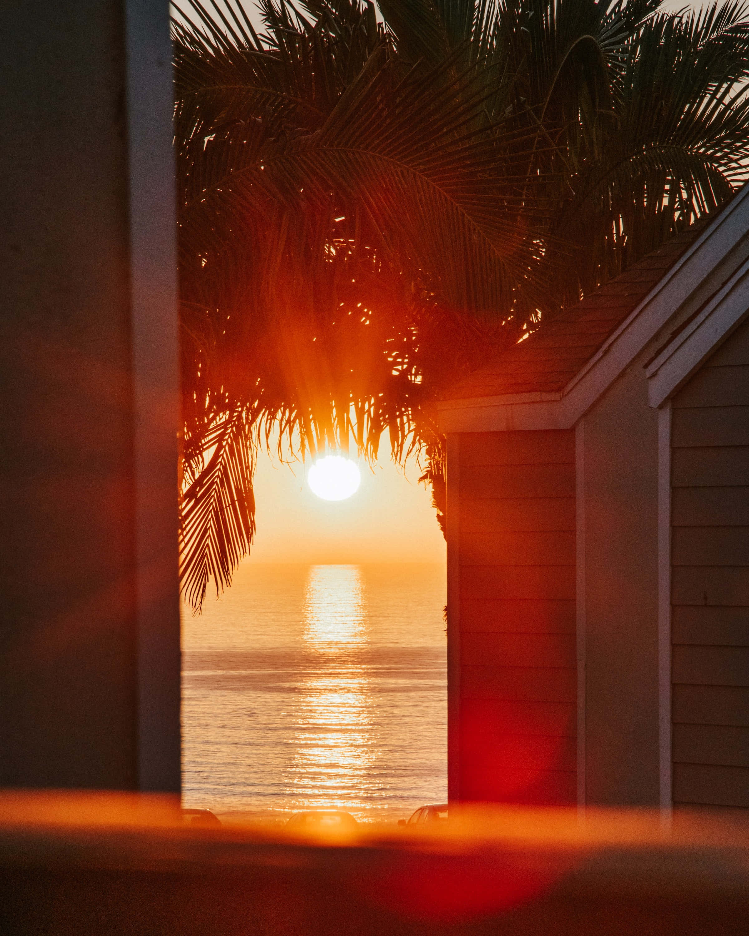 Sunset View, palm fronds, house frame, 2K Phone Wallpaper