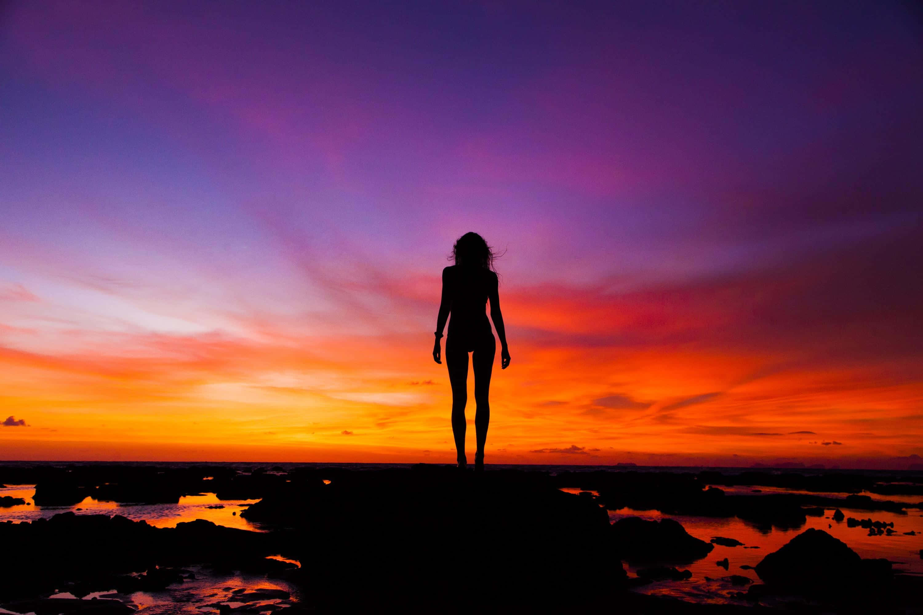 sunset silhouette, fiery sunset sky, vivid orange purple and pink hues, 2K Desktop Wallpaper