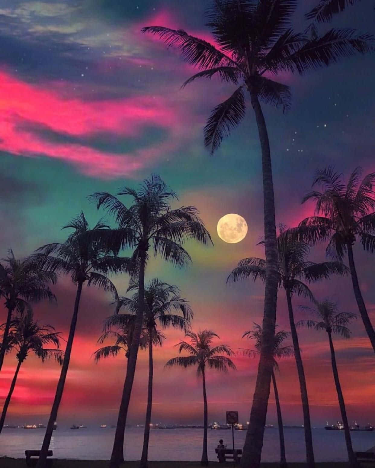 sunset view, palm trees, glowing full moon, HD Phone Wallpaper