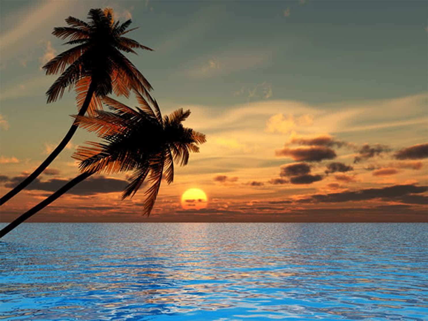 Sunset View, palm trees, calm ocean waters, HD Desktop Wallpaper