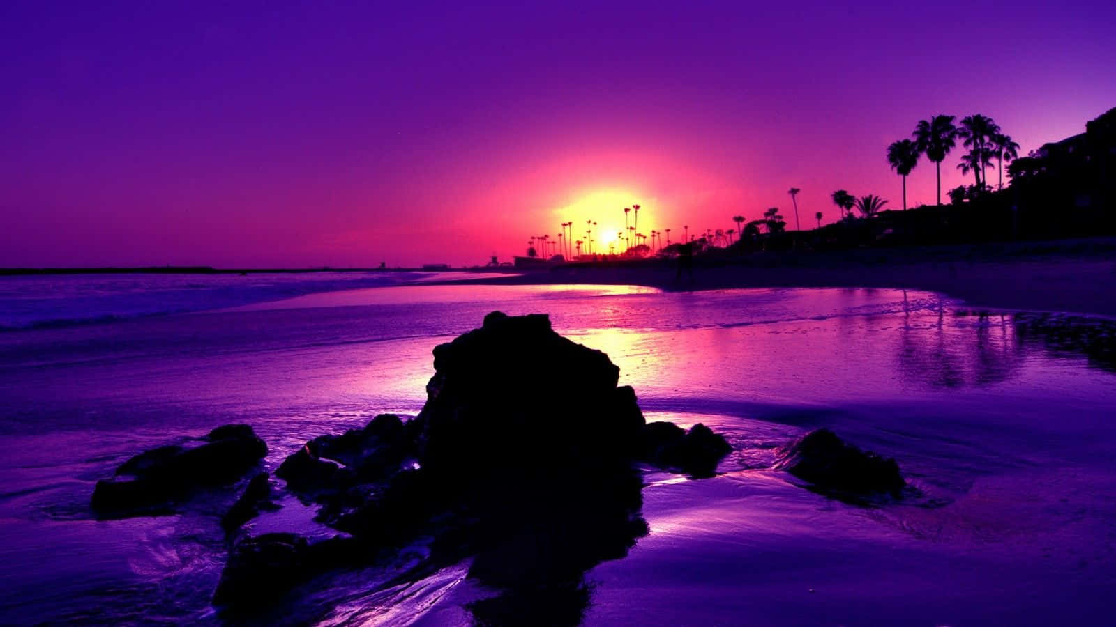 sunset view, purple sunset, beach, HD Desktop Wallpaper