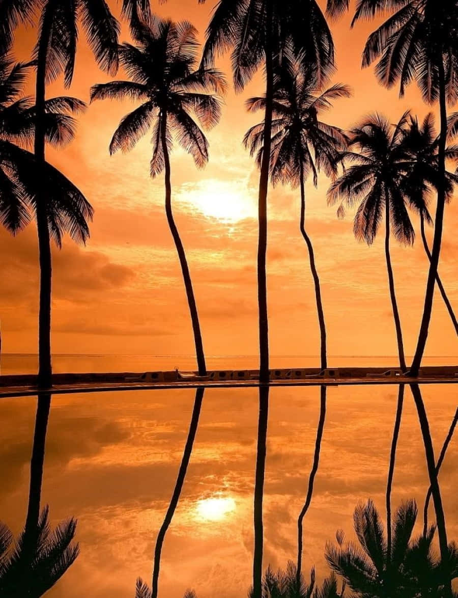 Sunset Reflection, golden sunset, infinity pool, SD Phone Wallpaper