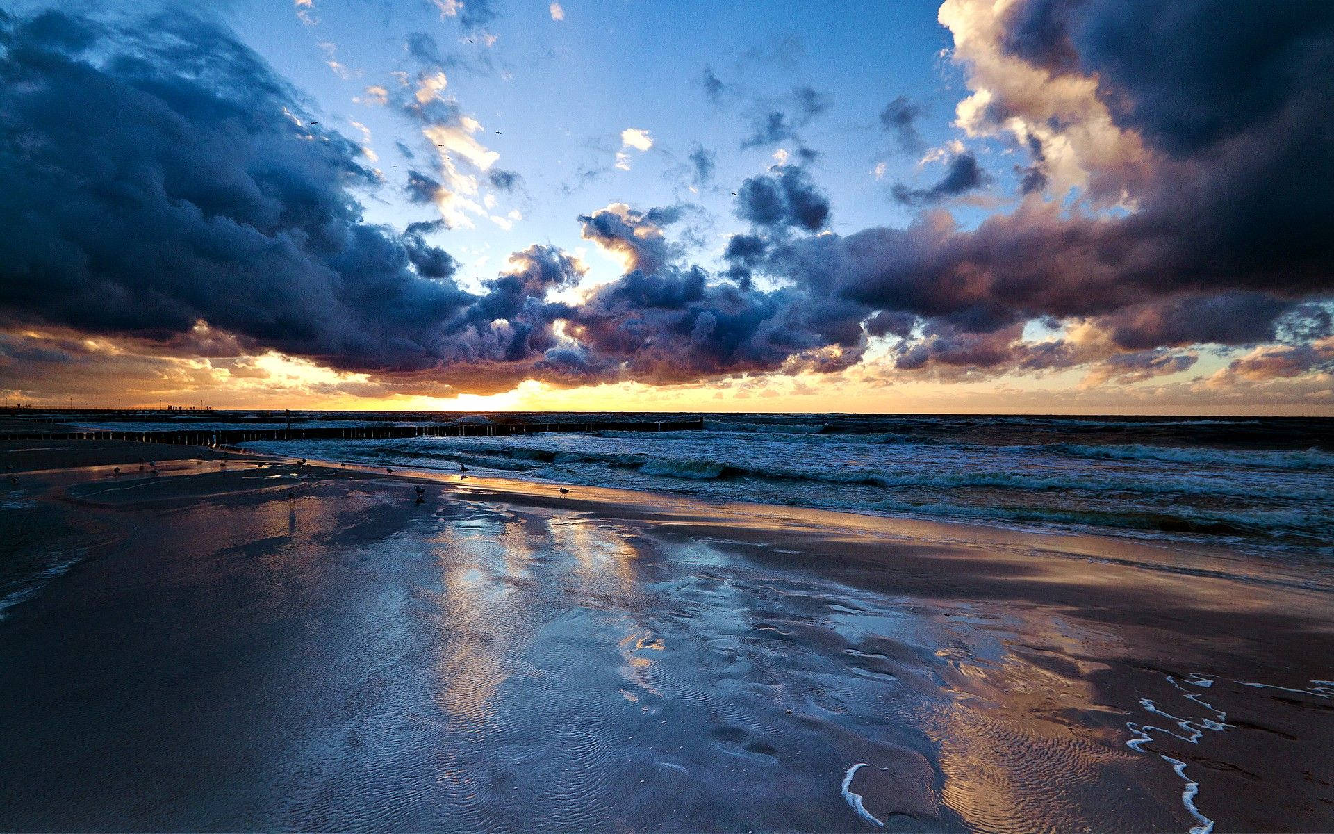 ocean sunset, golden evening, wet sandy beach, Full HD Desktop Wallpaper