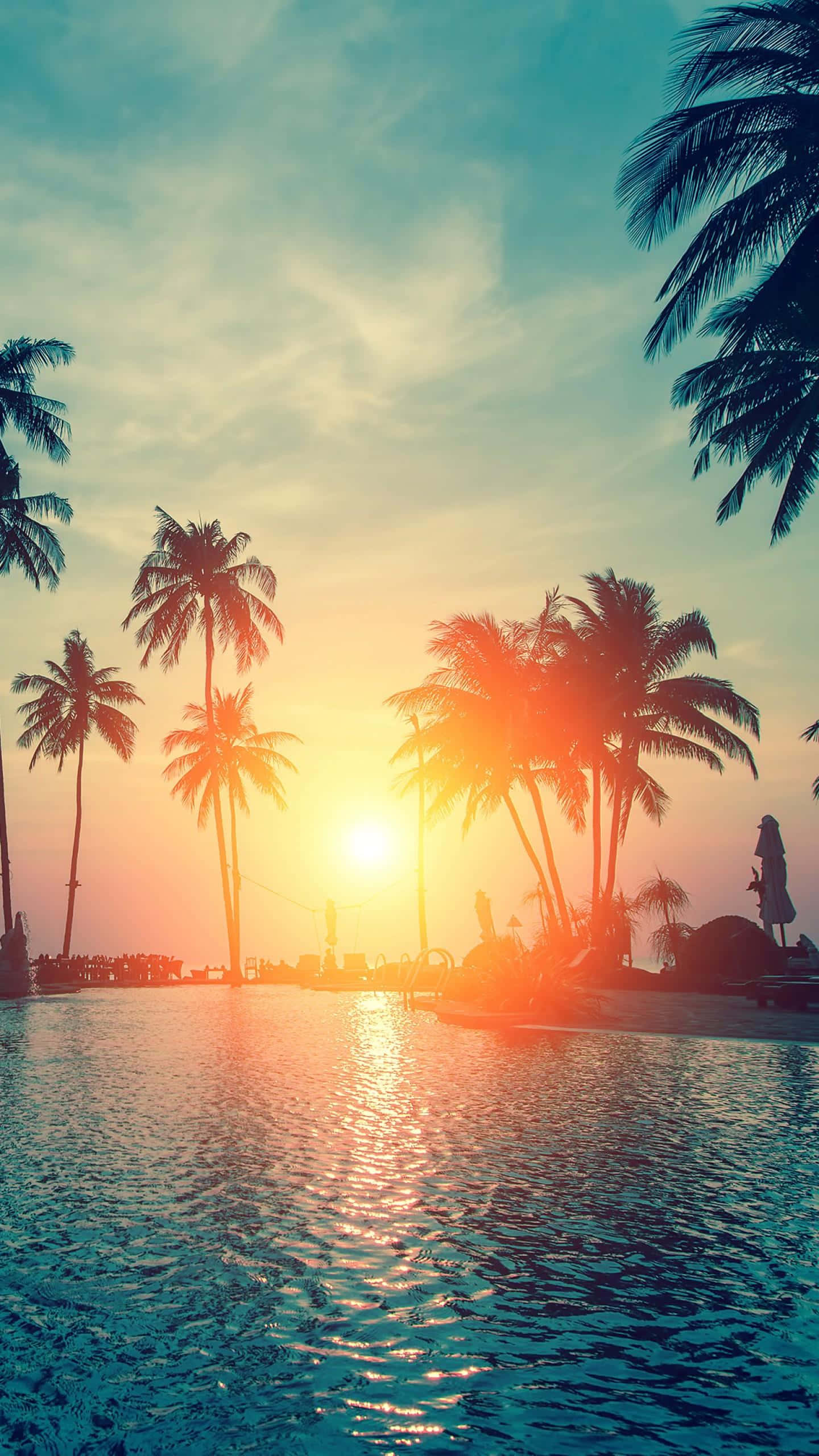 Pool Sunset With Palm Tree, palm trees, sunset, 2K Phone Wallpaper