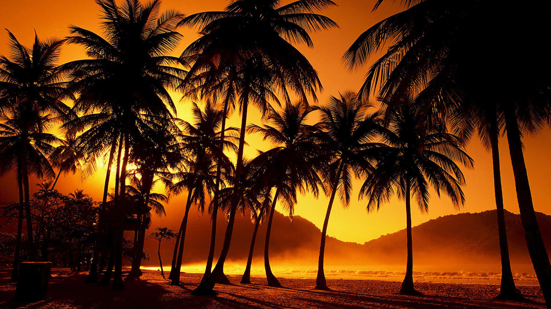 mountain sunset with palm tree, fiery orange sunset, silhouetted palm trees, Full HD Desktop Wallpaper
