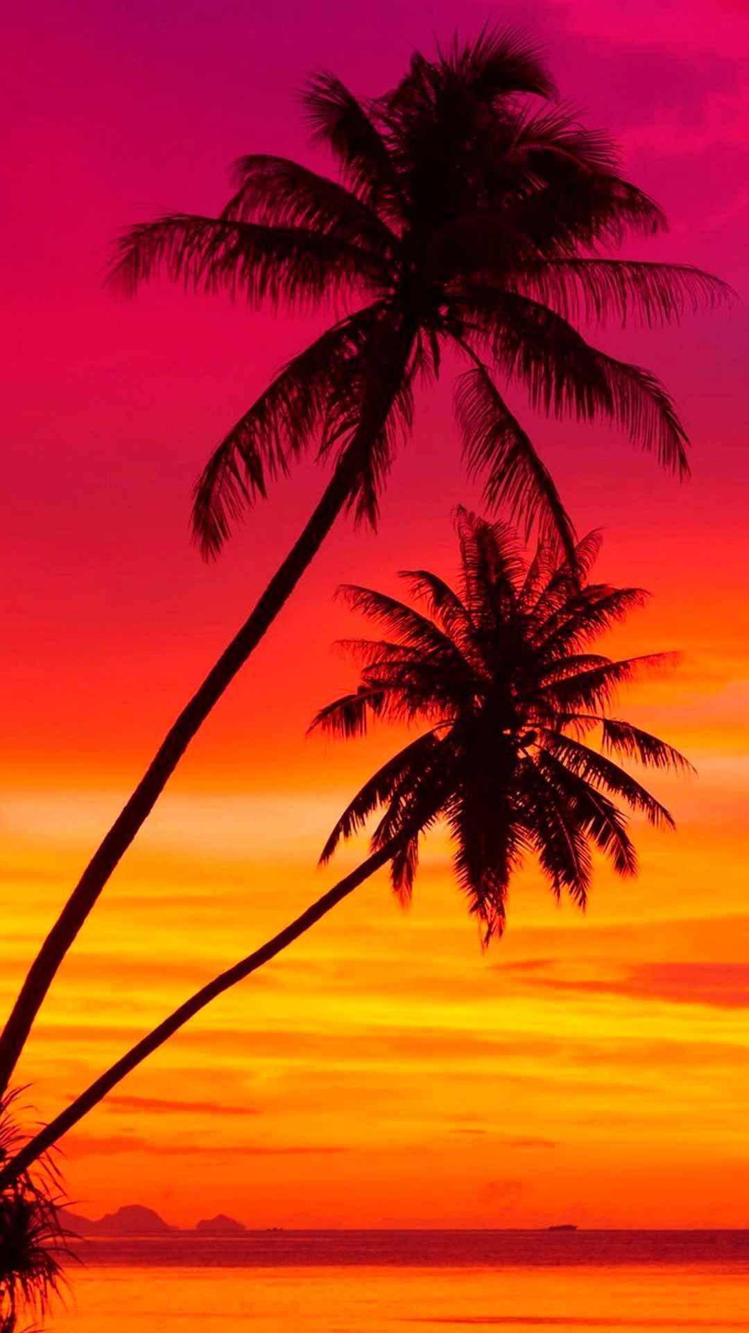 iPhone, scenic sunset, palm trees, Full HD Phone Wallpaper