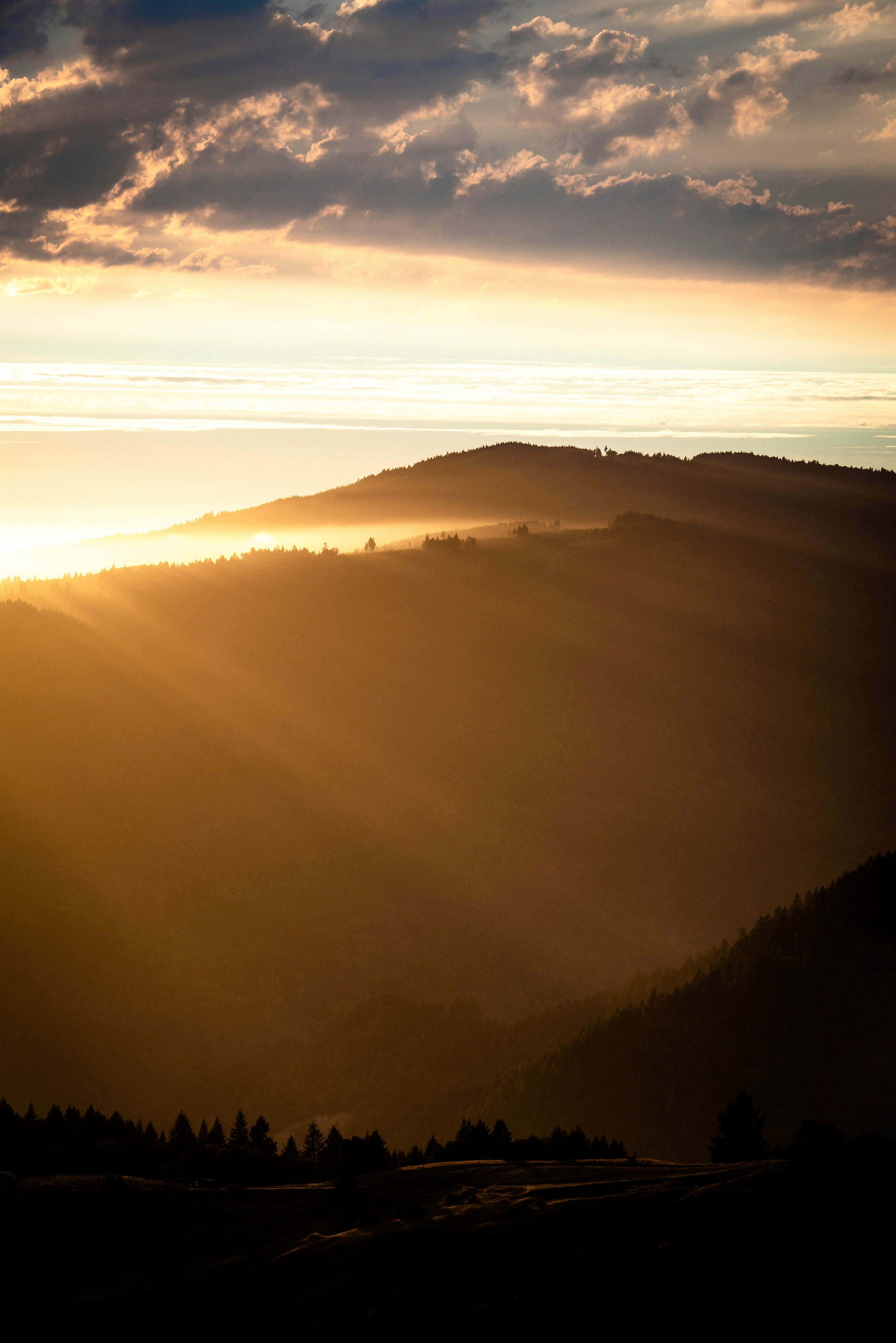 Golden Sunset Hills, golden sunbeams, clouds, 5K Phone Wallpaper