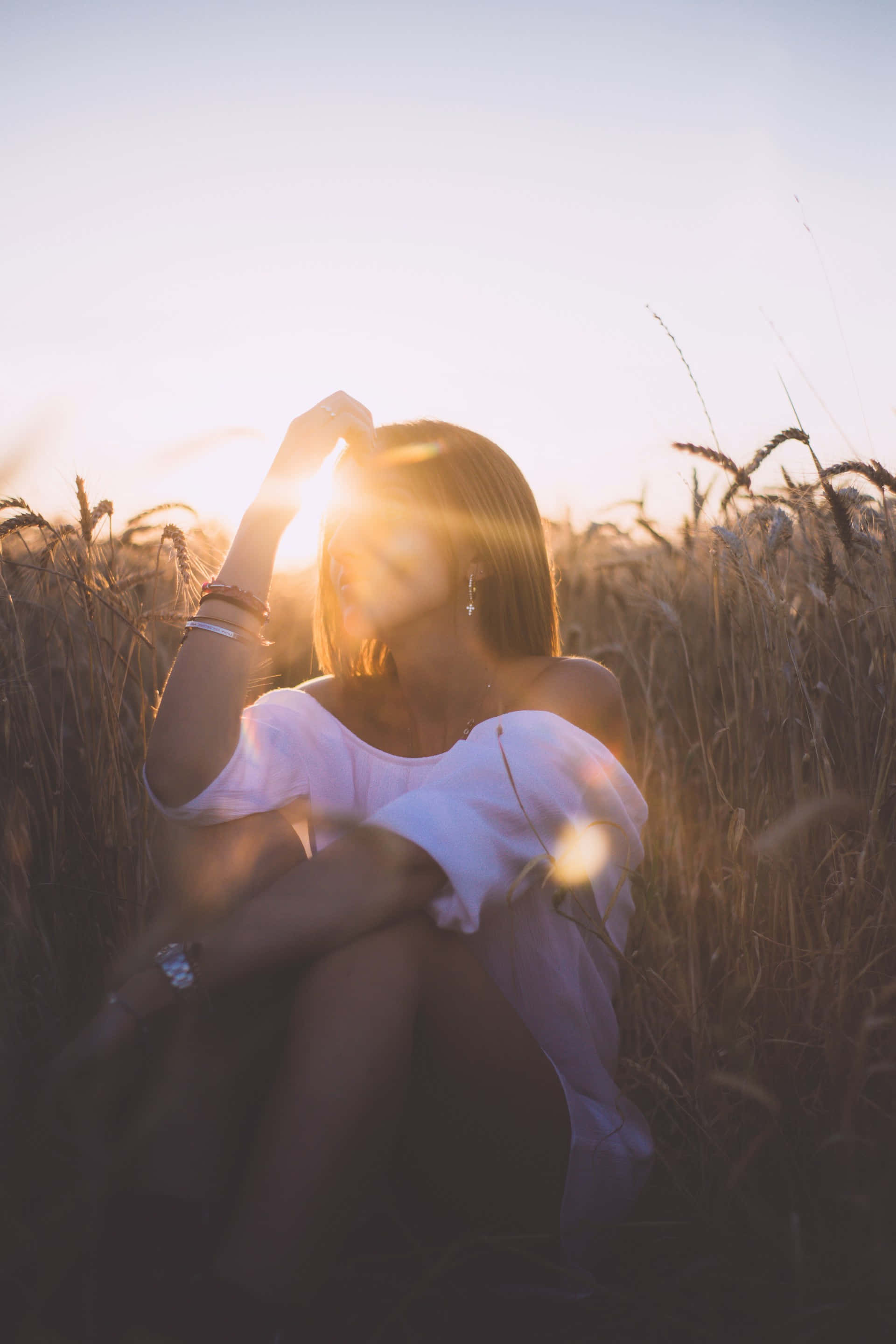 golden hour, sunset, wheat field, 2K Phone Wallpaper