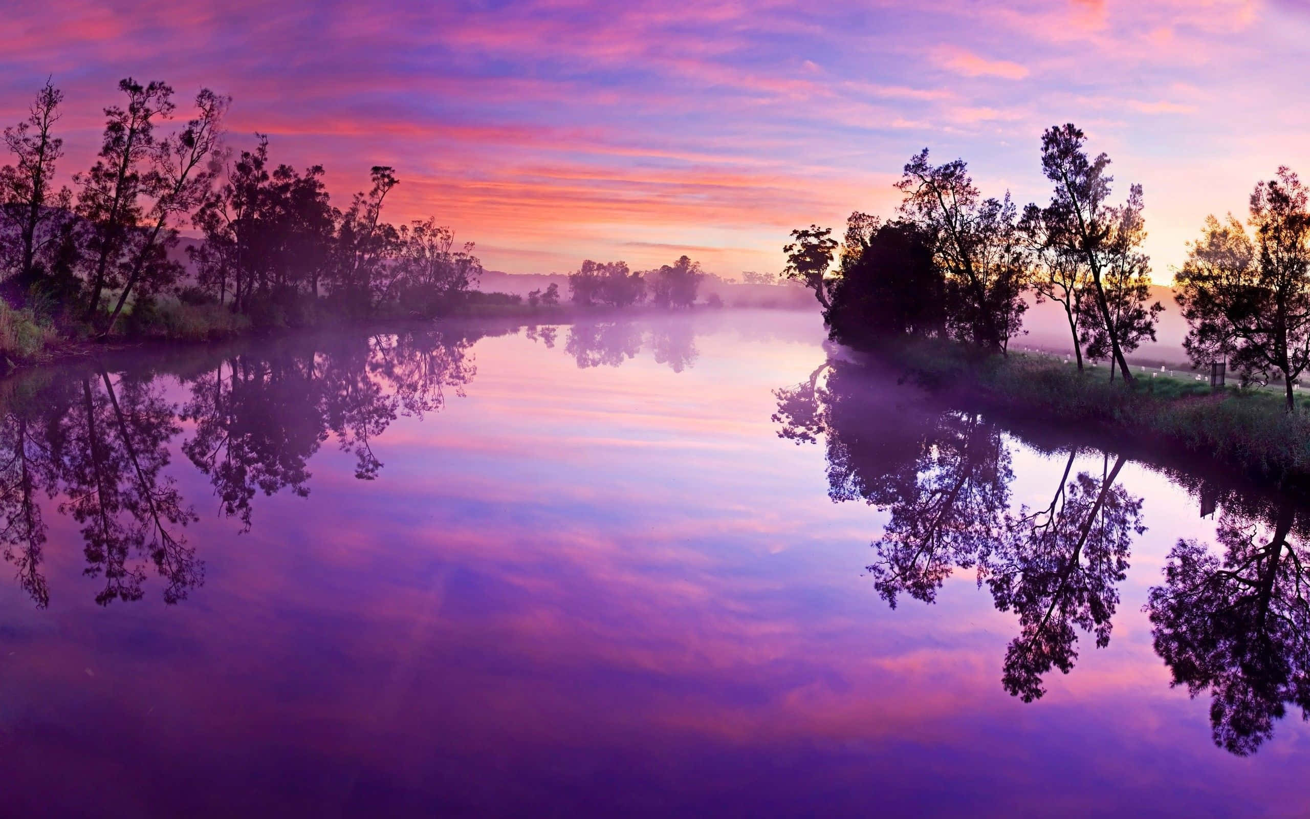 purple sunset, vibrant pink and purple sunrise, misty river, 2K Desktop Wallpaper