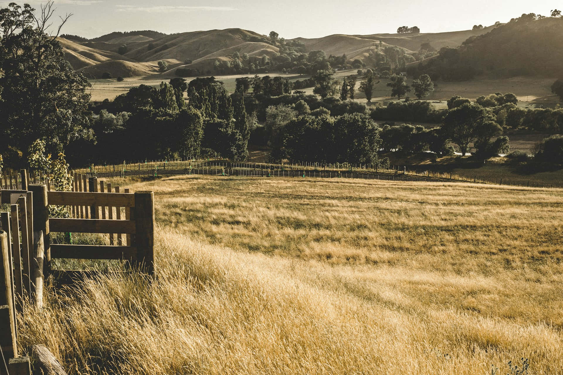 golden hour, countryside landscape, wooden fence, Full HD Desktop Wallpaper