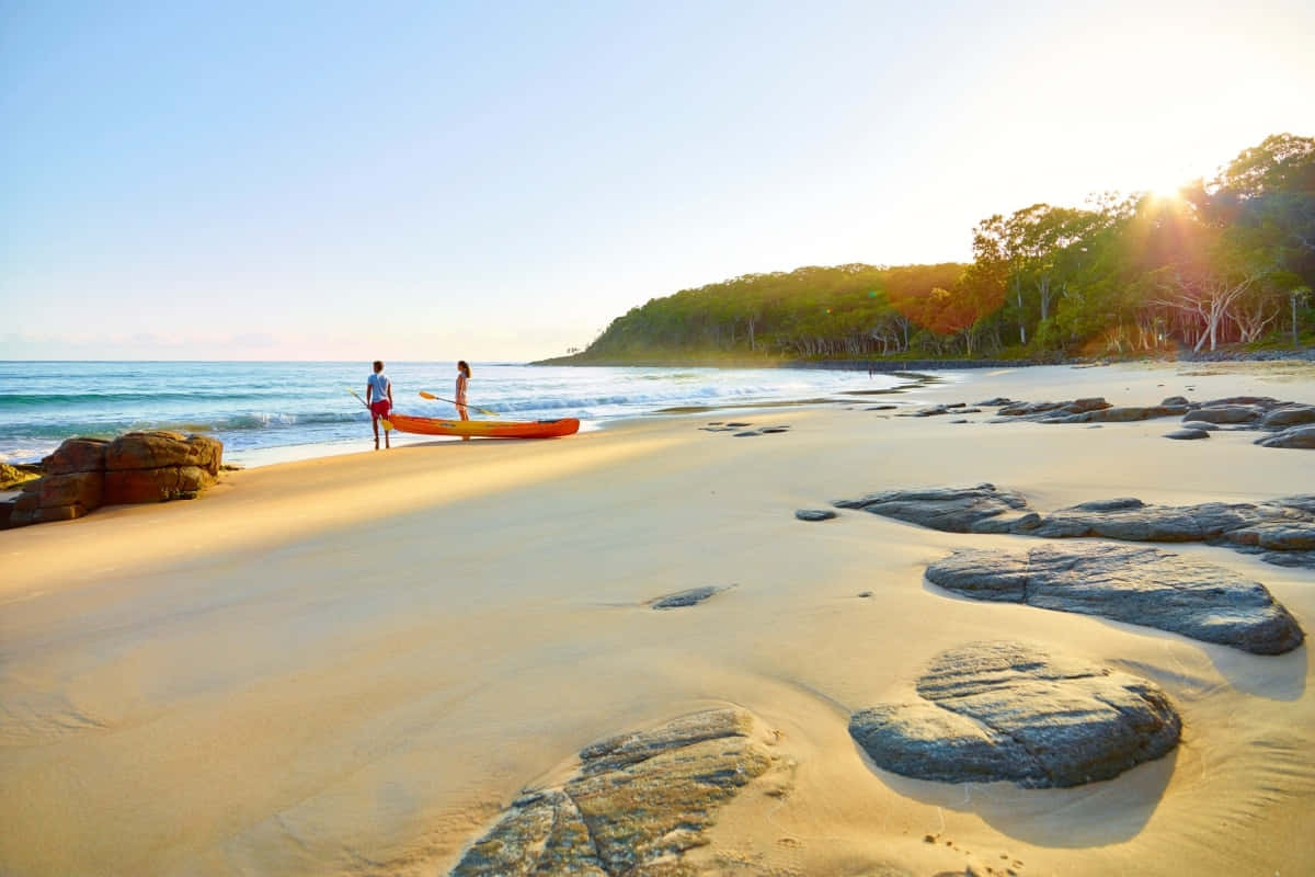 Sunshine Coast, sunset, sandy beach, SD Desktop Wallpaper