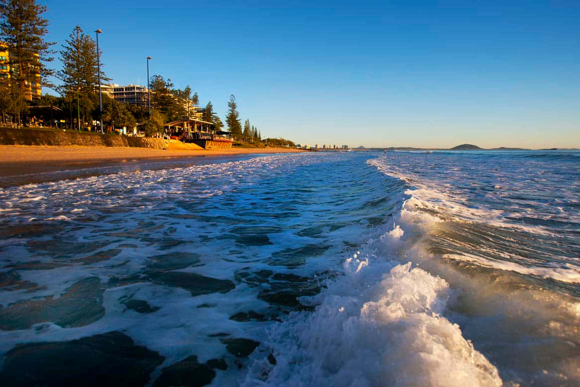 Sunshine Coast, sandy beach, palm trees, SD Desktop Wallpaper