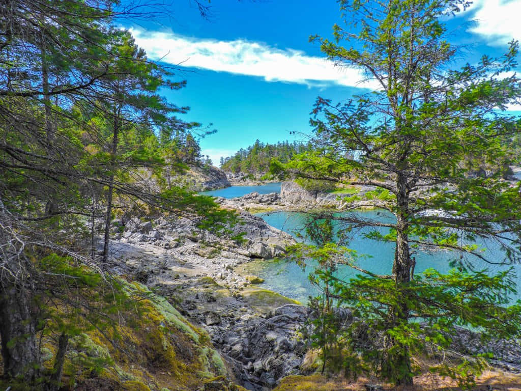 Sunshine Coast, sunset, coastal cove, SD Desktop Wallpaper